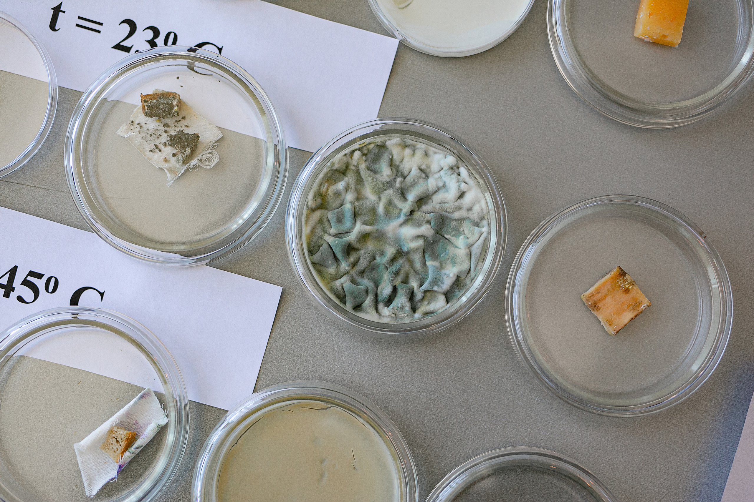 17.03.23 ДВФУ фестиваль «Начало Координат». Владивосток семейный фотограф Александр Степанов