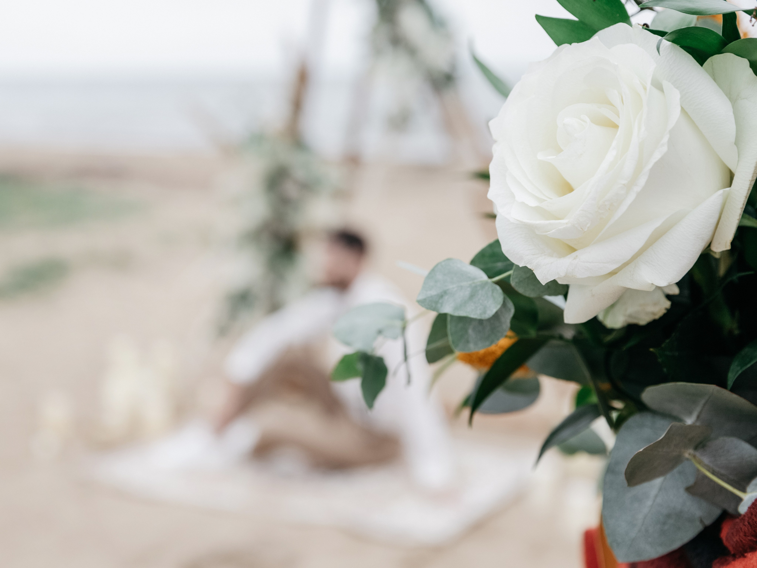 Свадебный фотограф во Владивостоке. Фотограф во Владивостоке Фролова Наталья