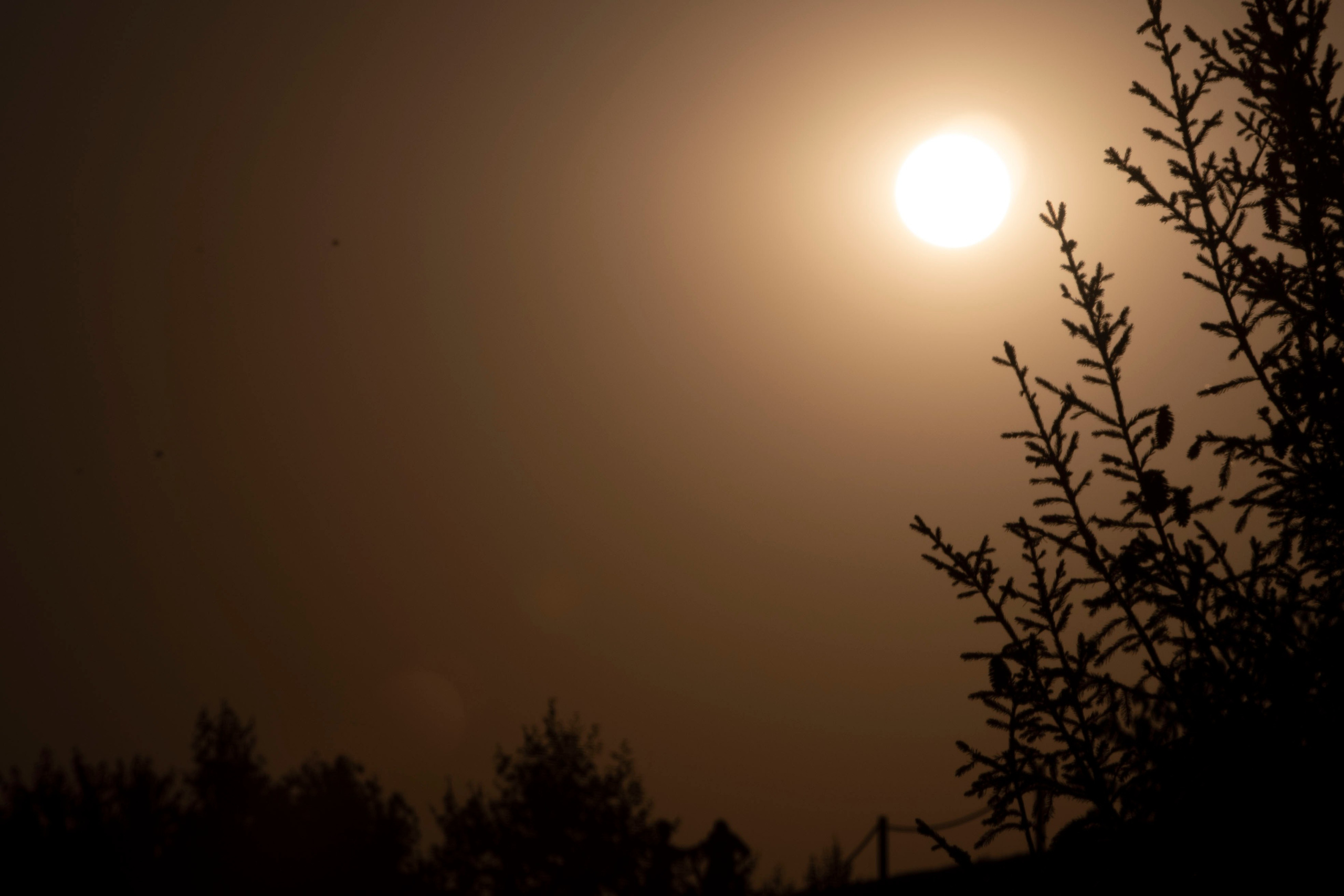 Фотограф в Краснодаре Ольга Бадюк