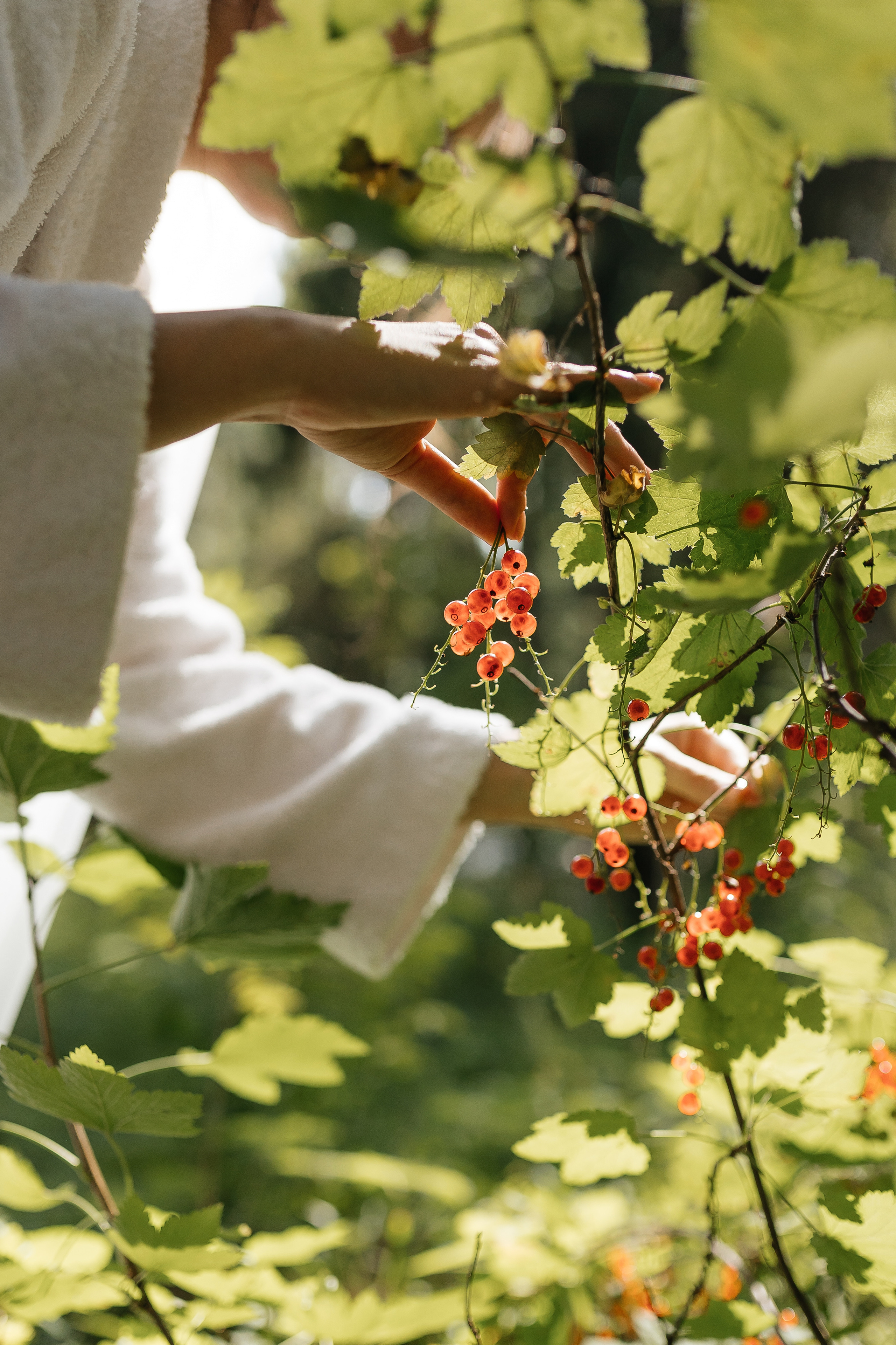 Владимир и Татьяна. Фотограф Макс Ветошкин 📷