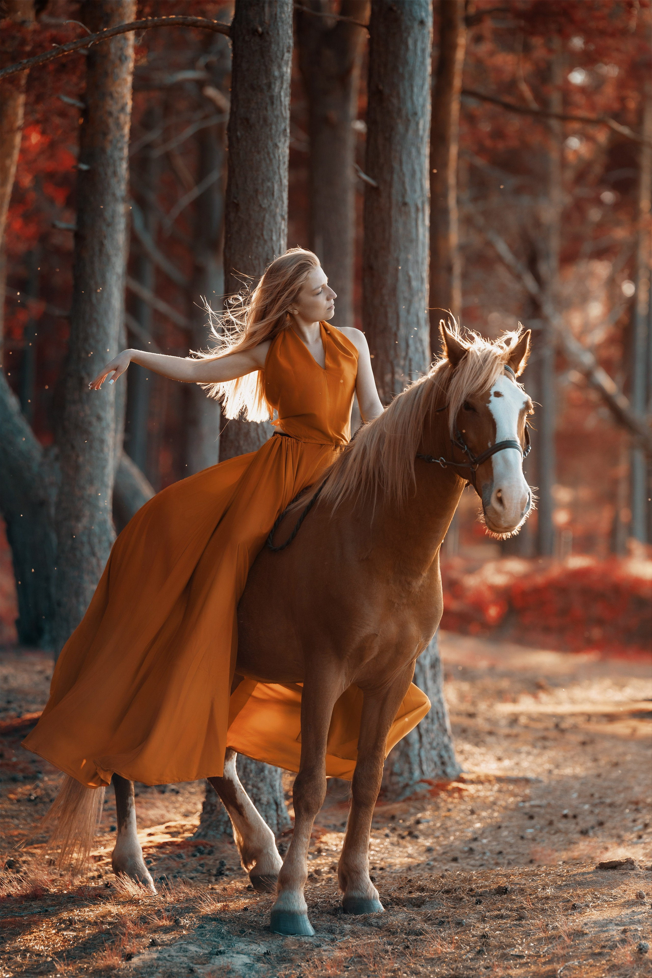 Конный фотограф в Петрозаводске. Фотограф Варвара Ермоленко