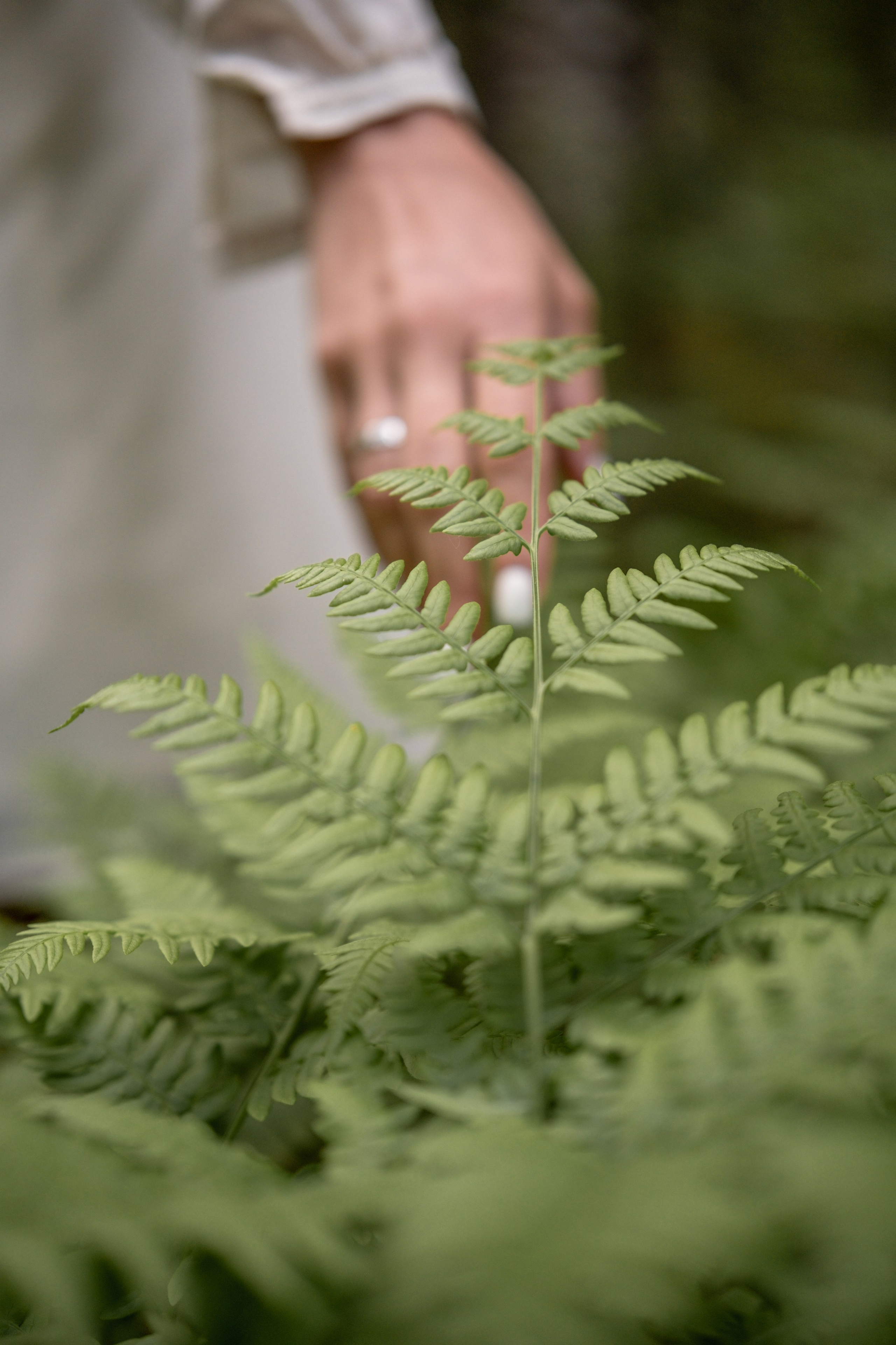 Люди. Фотограф Олеся Кавлакан
