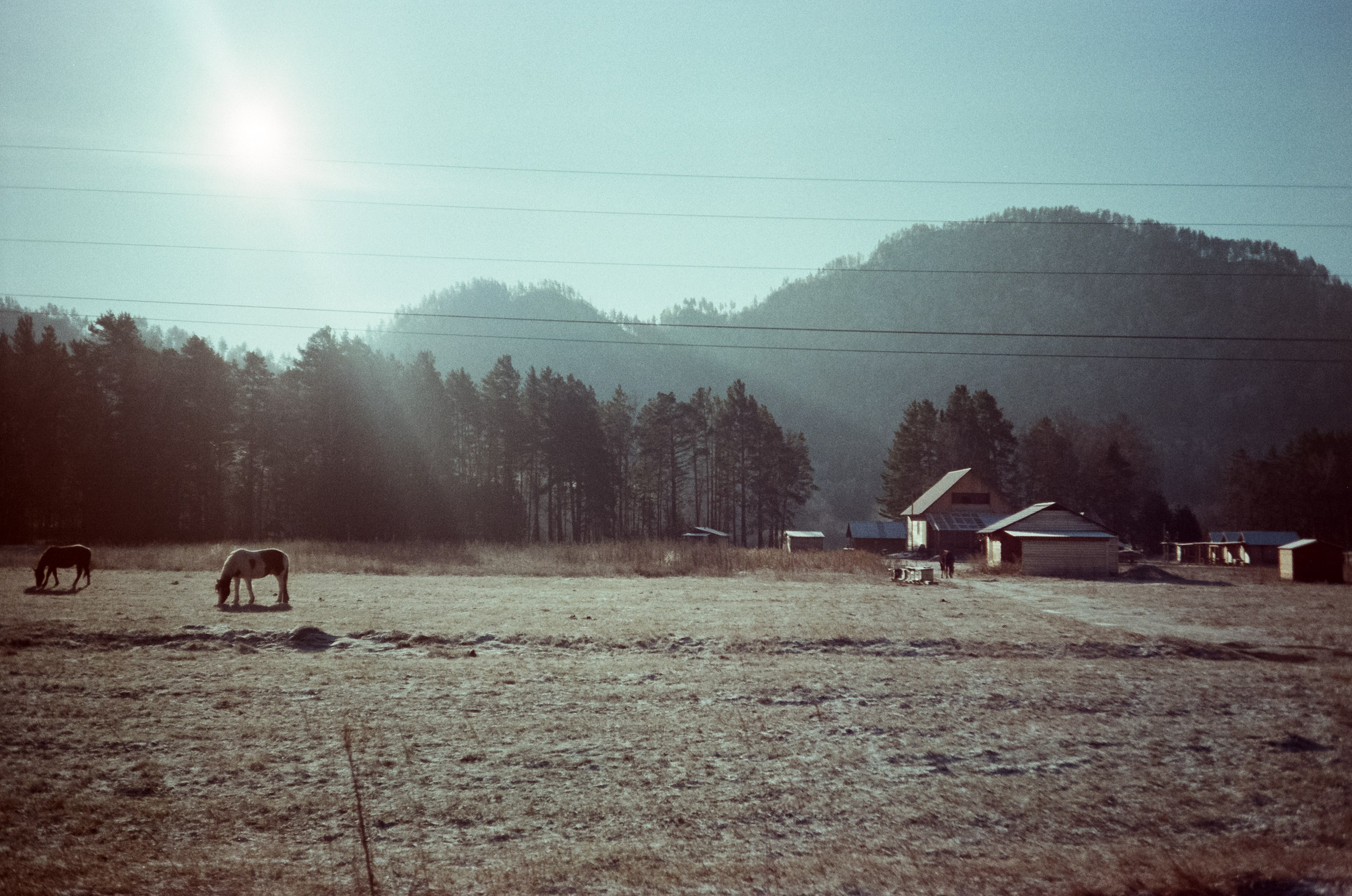База Берель, Чемальский тракт трасса / 12 — 13 декабря 2023 года (-26℃