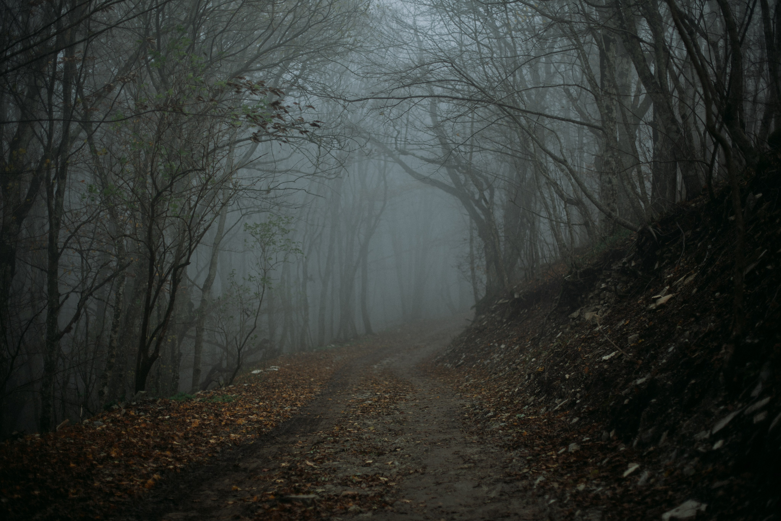Дороги земли ветров. Портретный фотограф в Москве и Геленджике Кирилл Вахитов