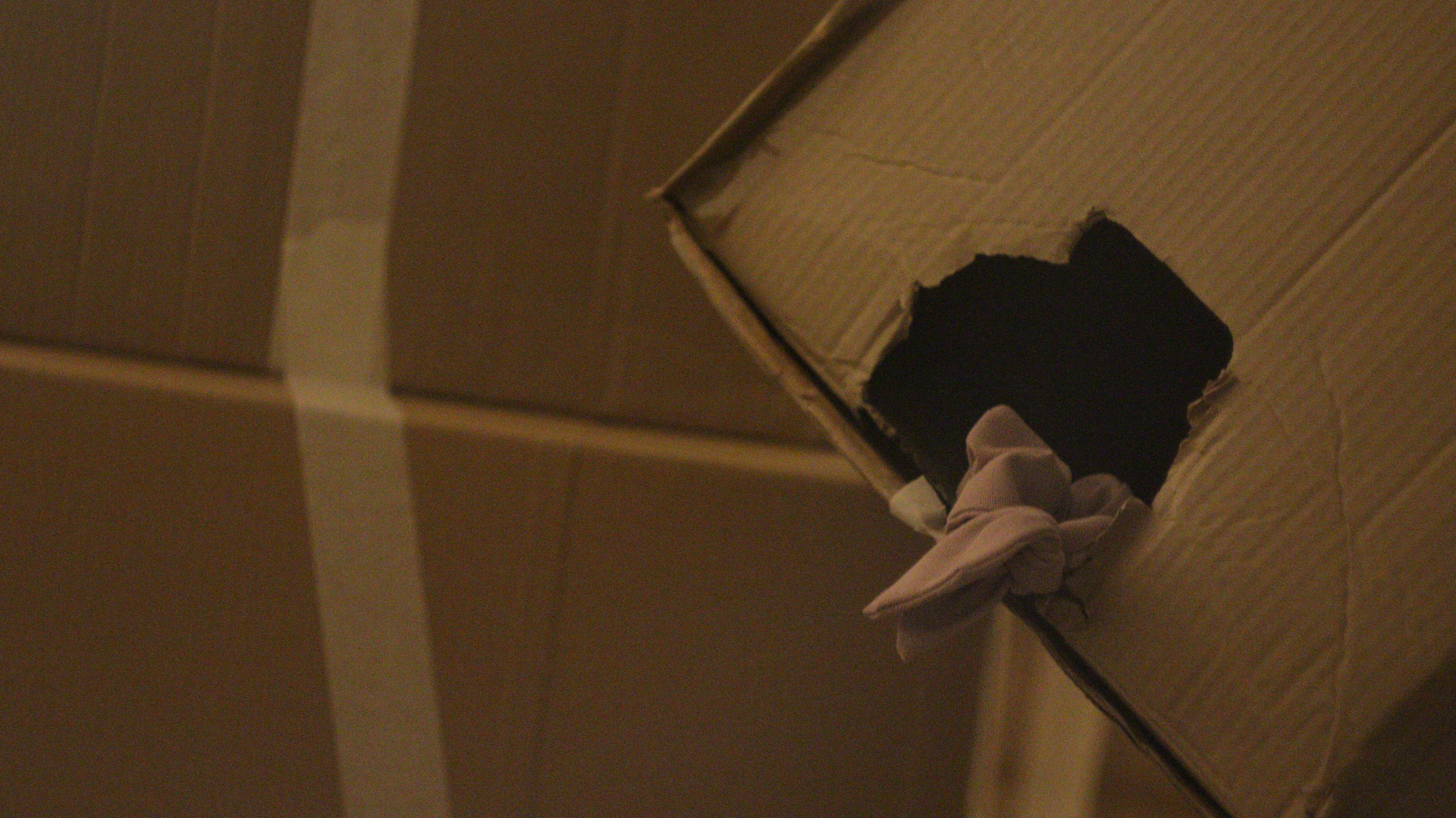 2024 performans “boxes”. Home