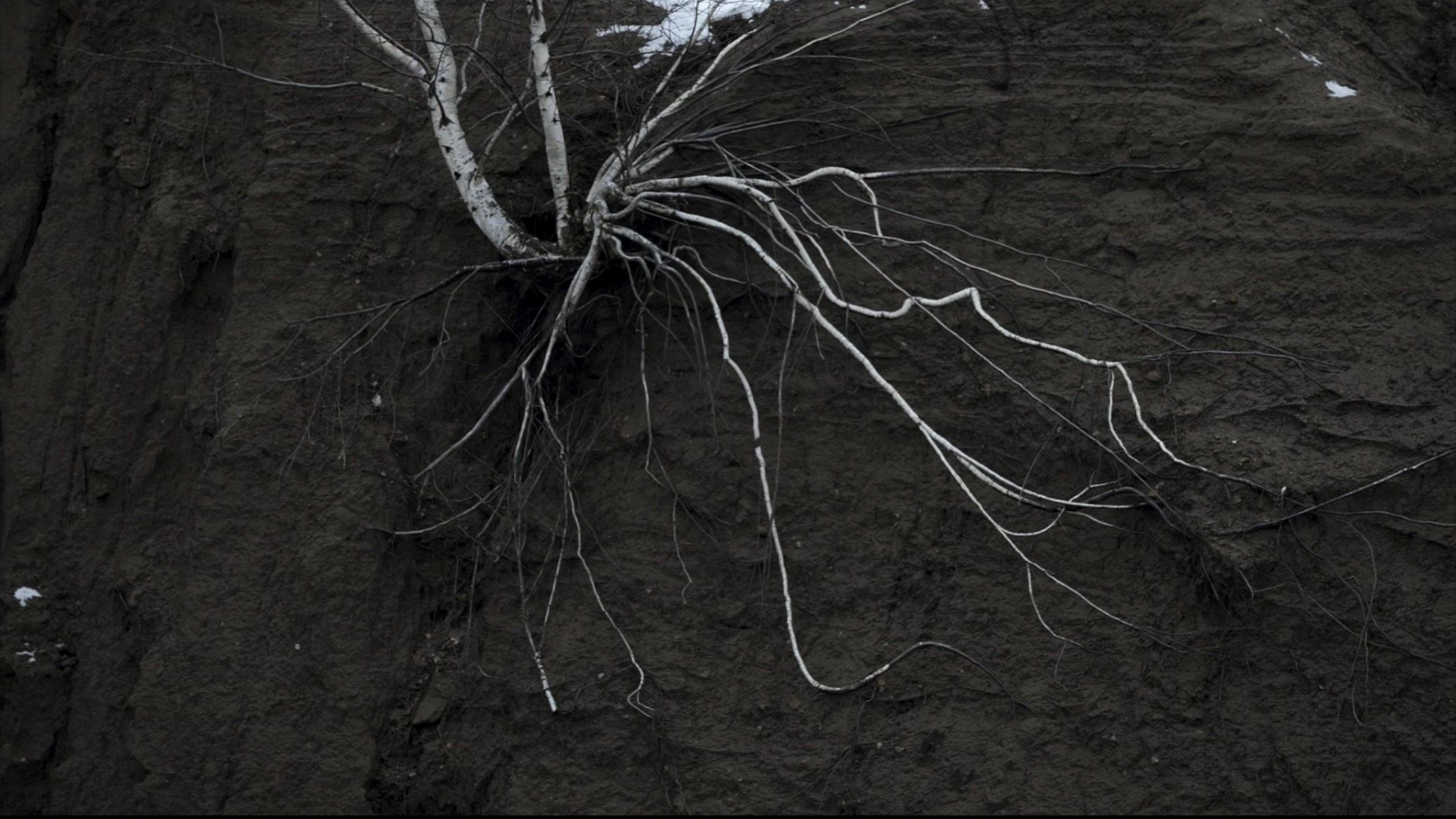 Простой взгляд на луну