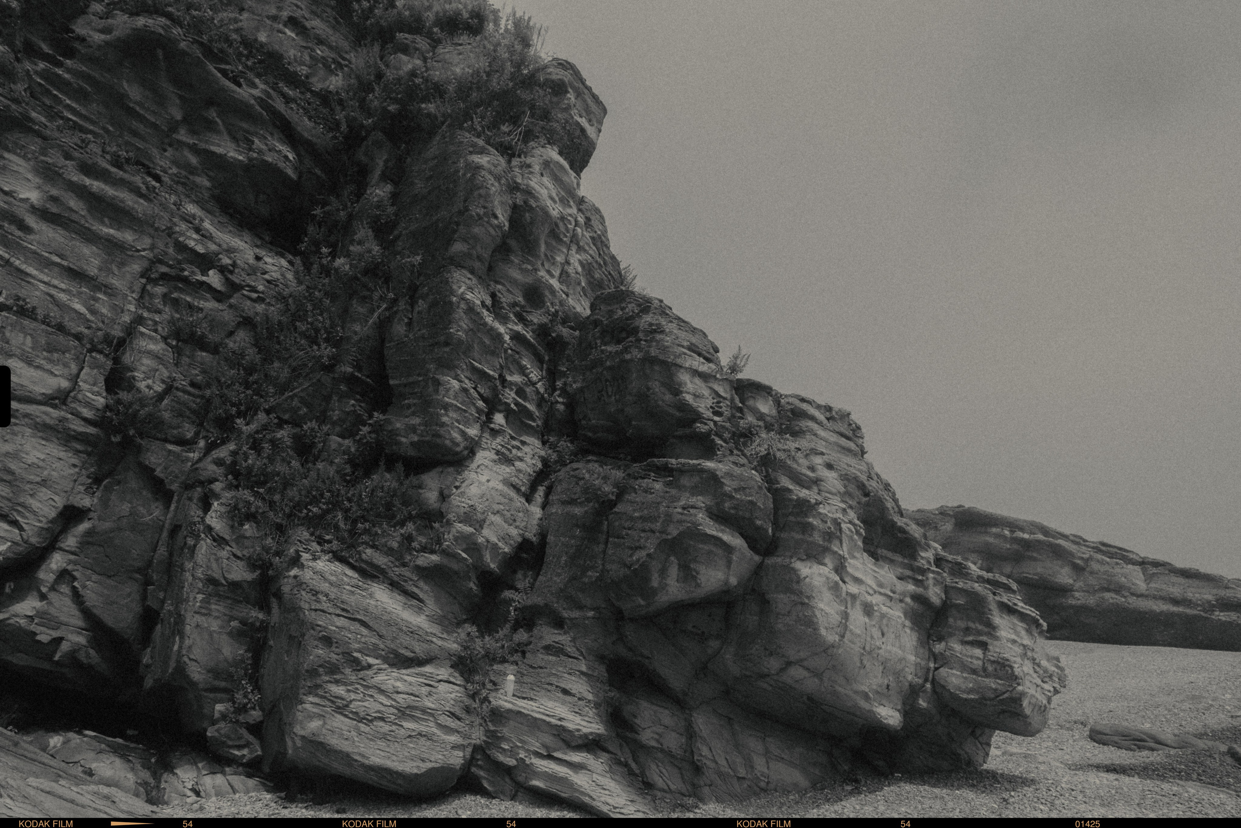 Шамора фото владивосток фотография черно белая природа