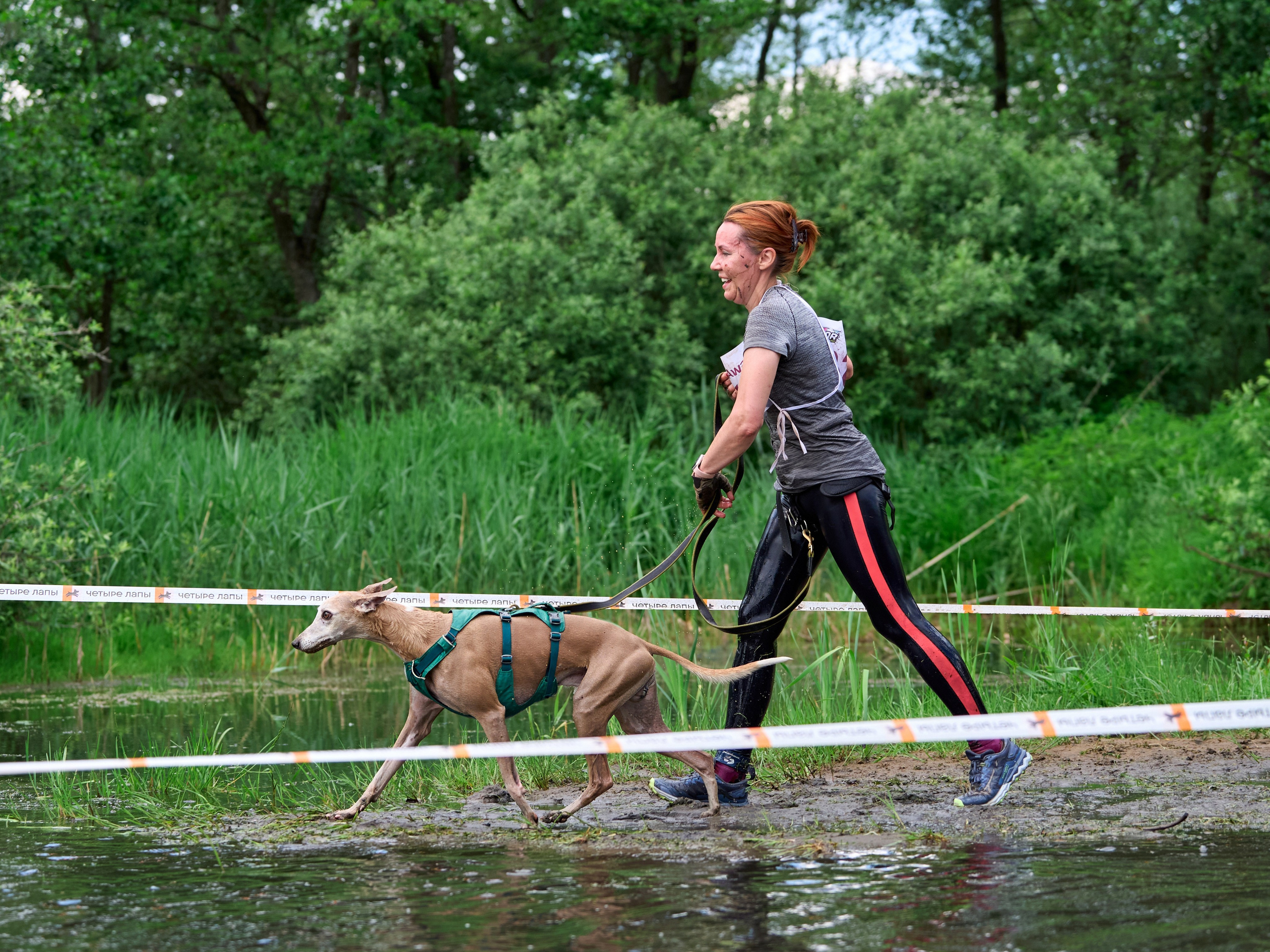 Хвостатый драйв — 2024. Фотограф-анималист Михаил Манухин