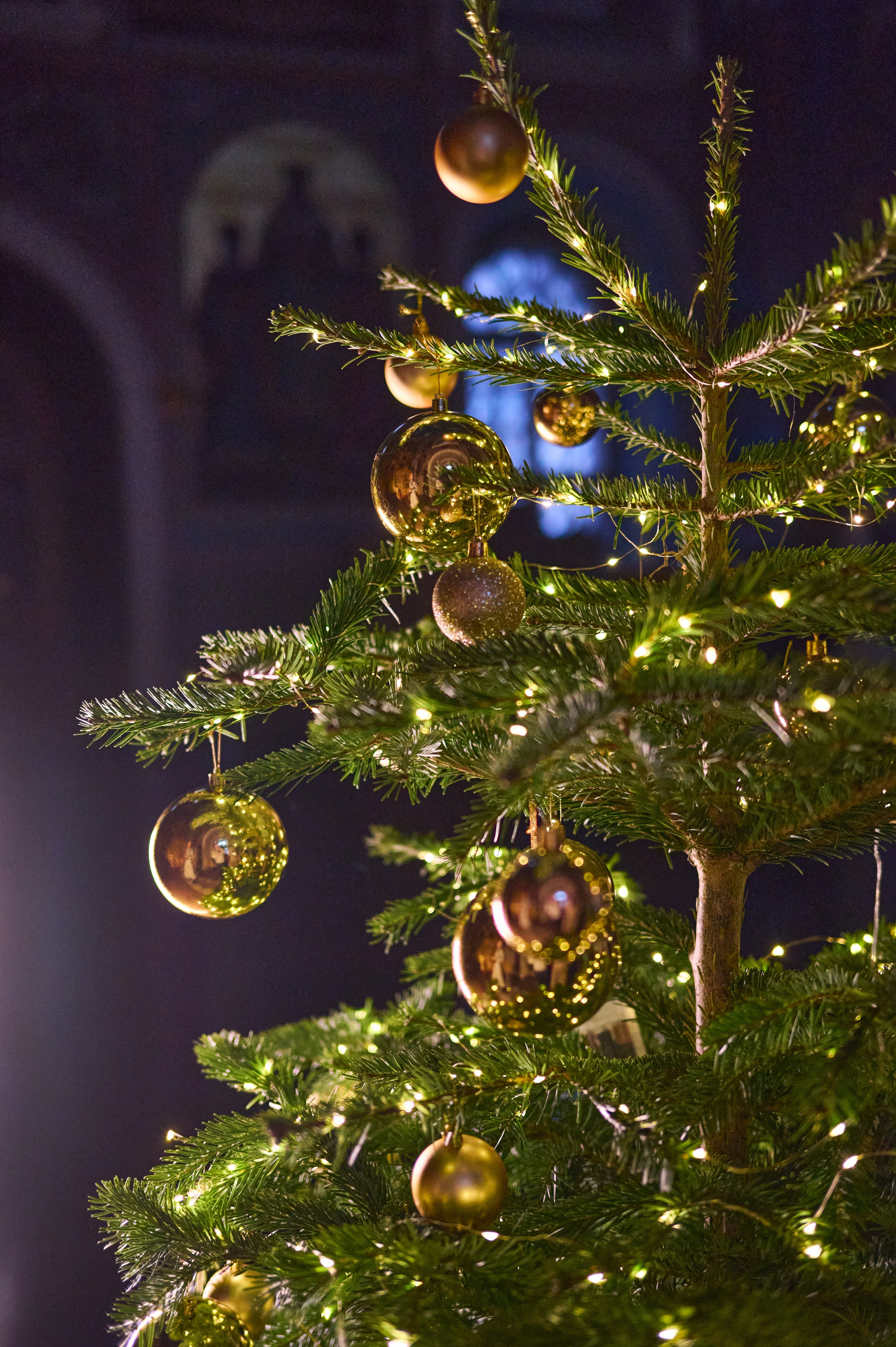 Зимний Воркшоп. Фотограф в Москве