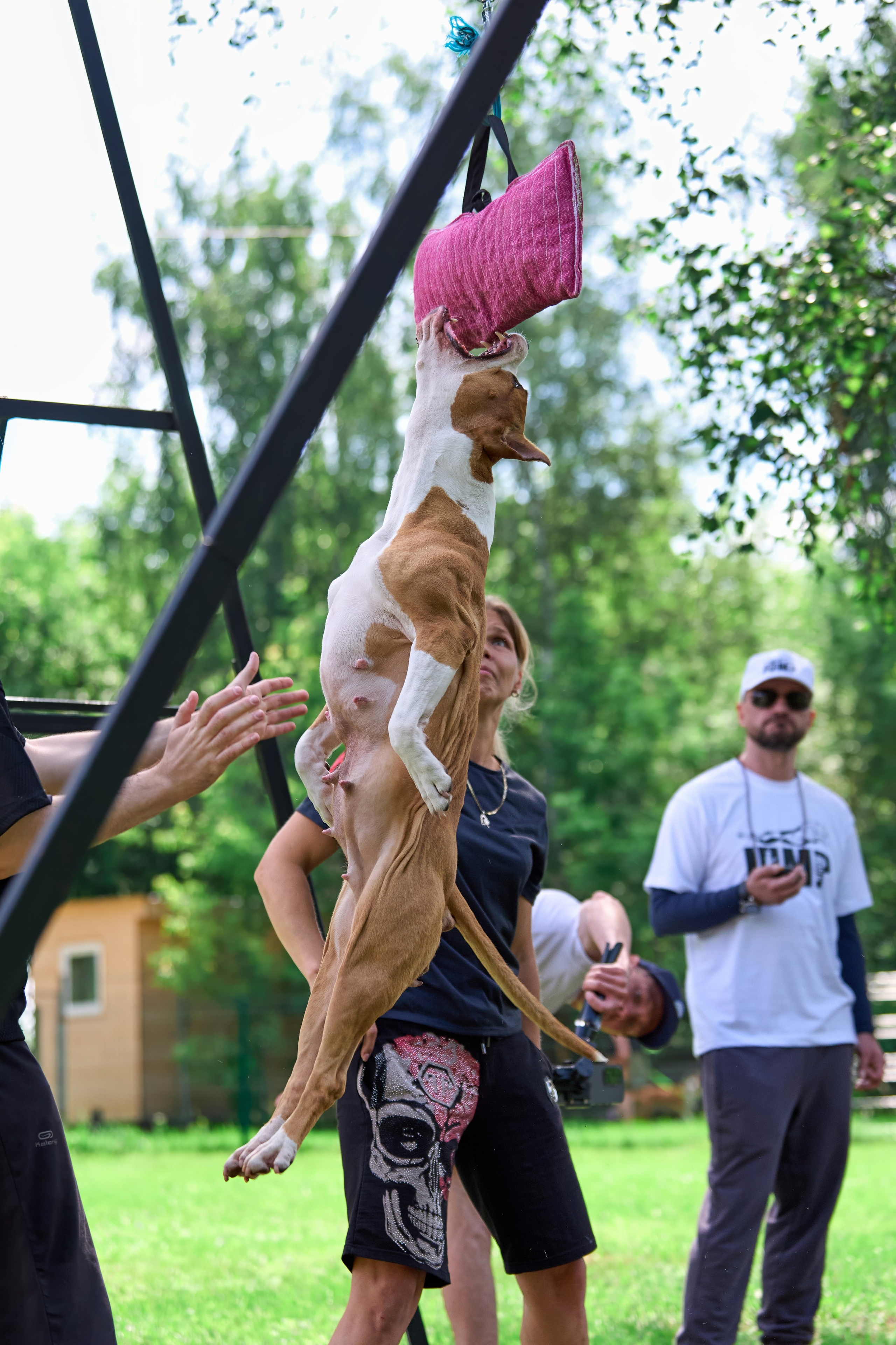 Двухдневные соревнования «Jump'n'Gym Fest — 2024». Фотограф-анималист Михаил Манухин