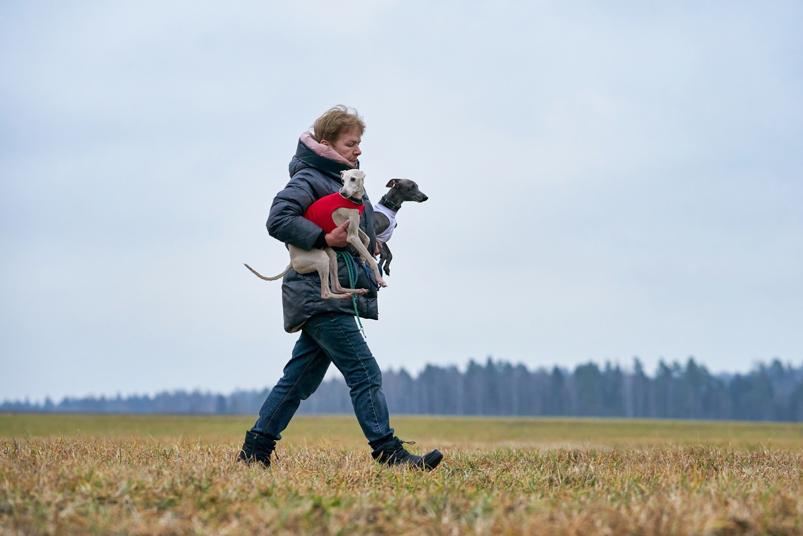 Состязания свор «Тройки». Фотограф-анималист Михаил Манухин