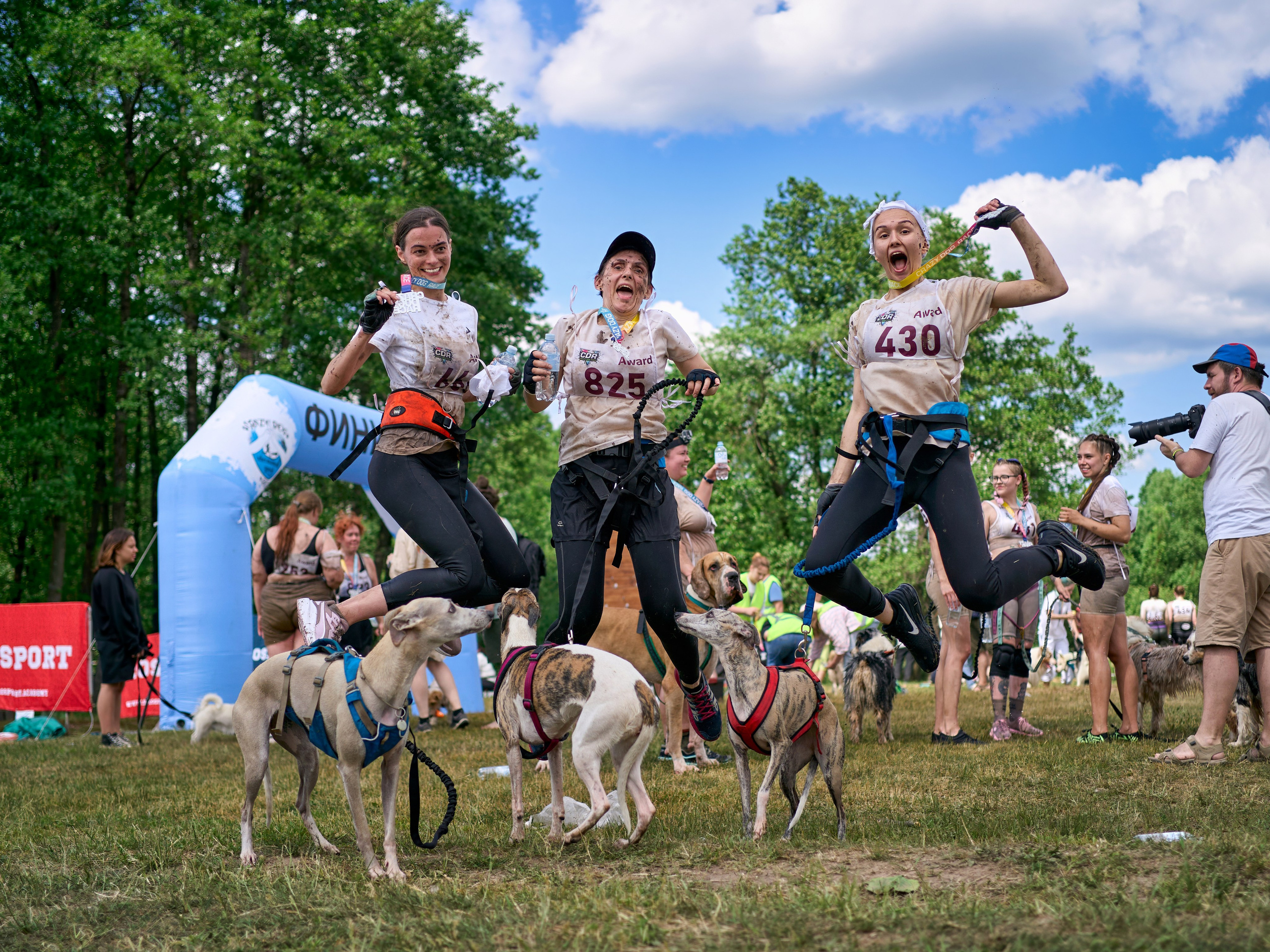Хвостатый драйв — 2024. Фотограф-анималист Михаил Манухин