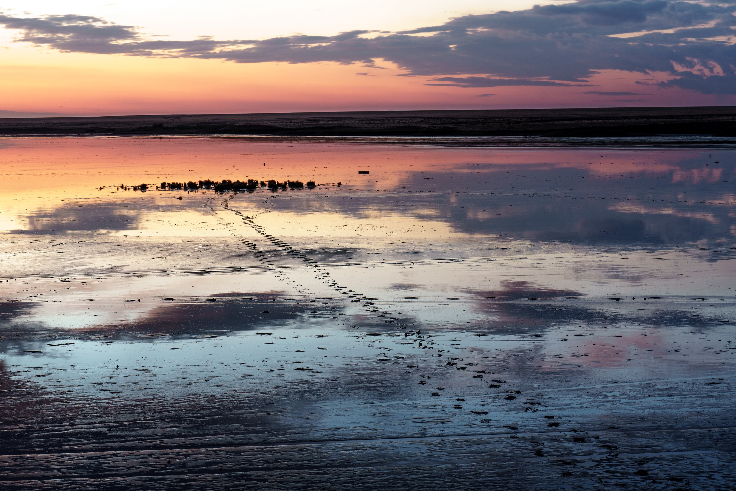 Учебный фототур на Эльтон. Июнь