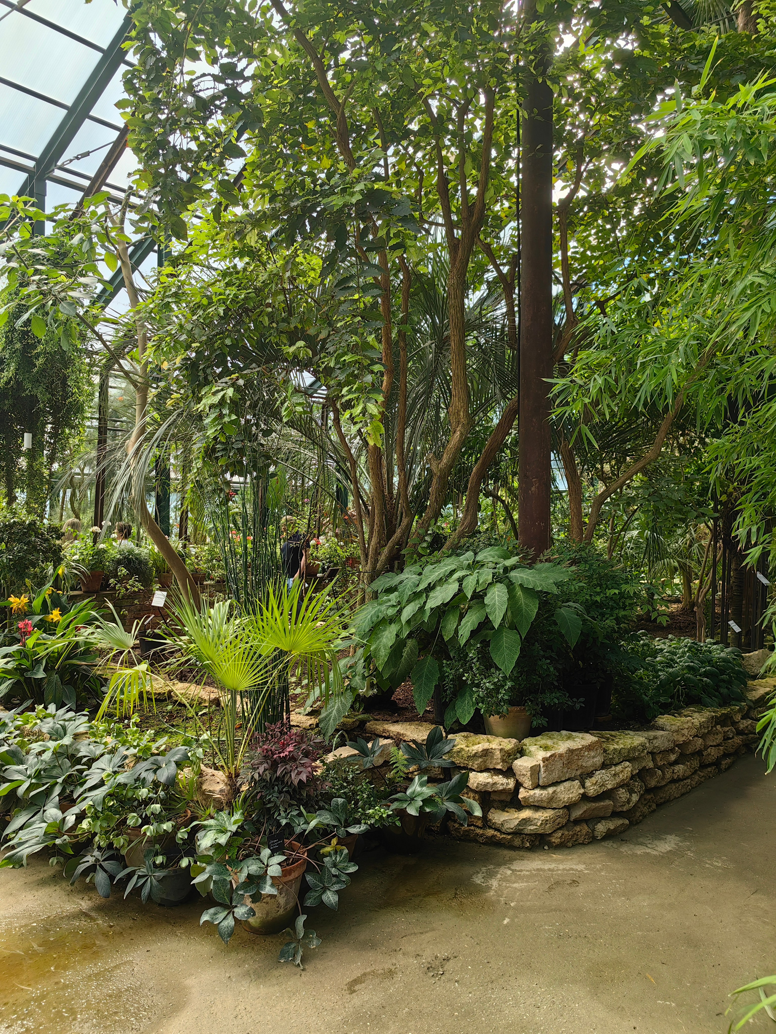 Парк АПТЕКАРСКИЙ ОГОРОД обзор. Фотограф в Москве и Московской области (Ю-В) Олеся Макарова