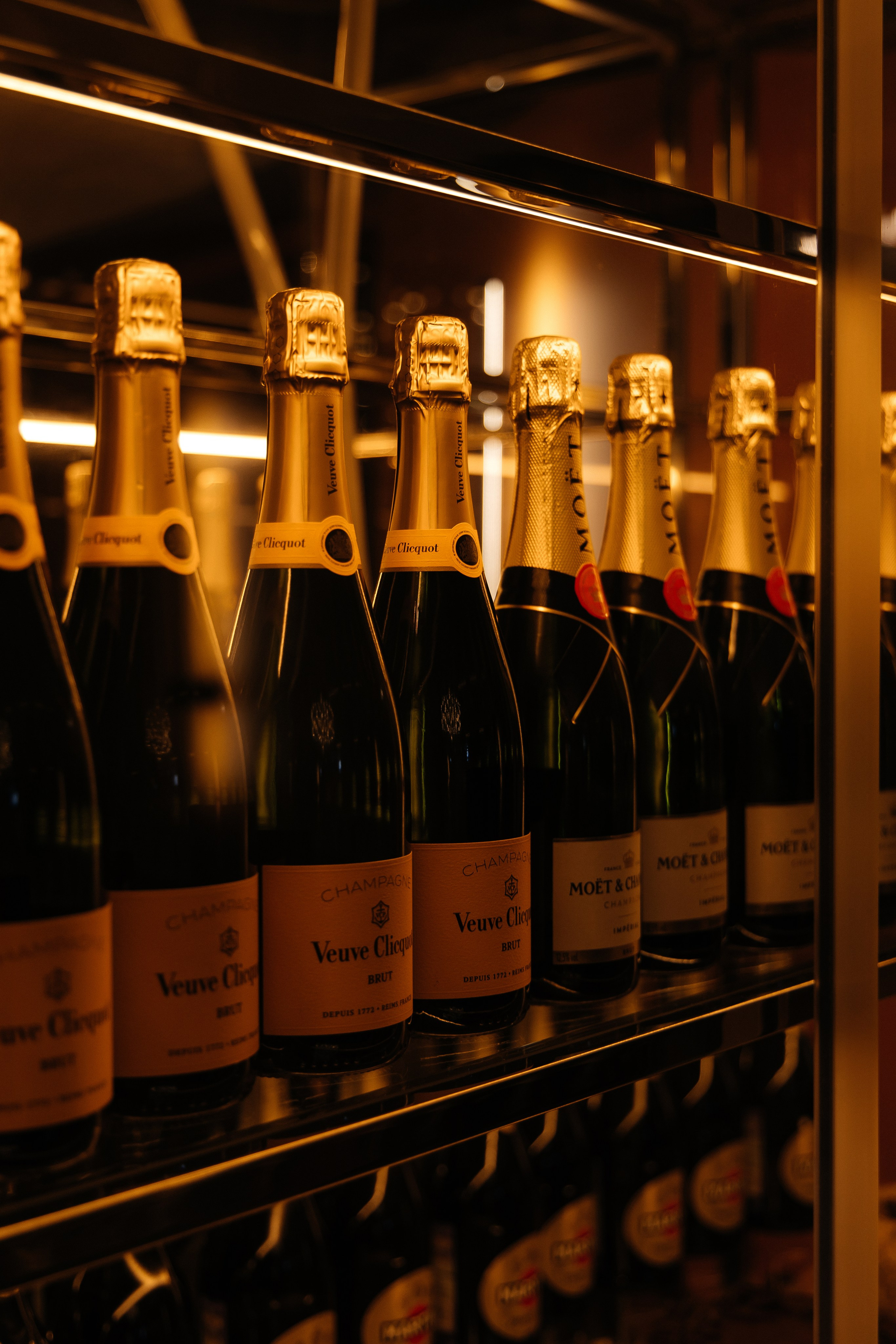 Все виды съёмок. Фотограф Таганрог Хребет София