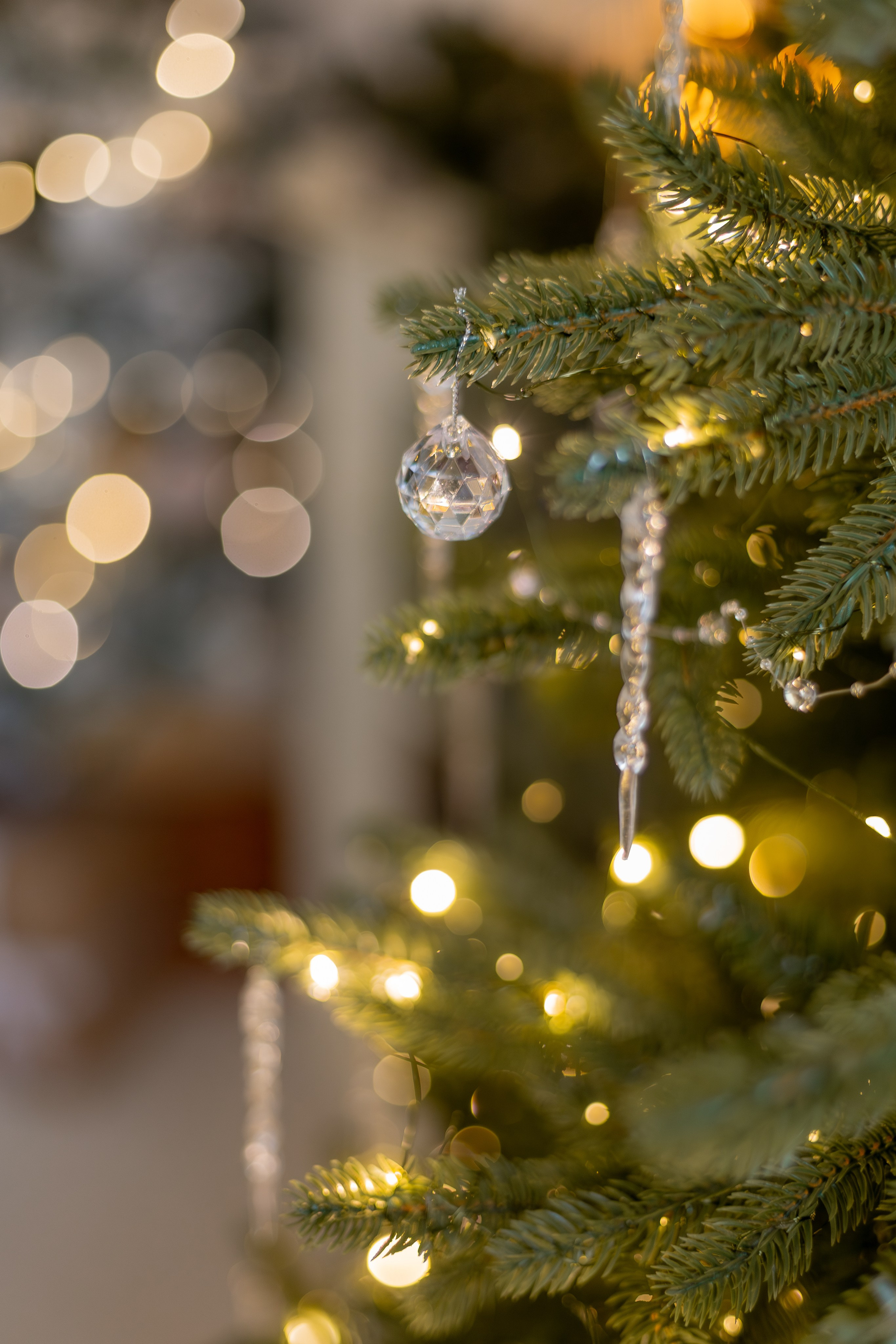 Новогодняя фотосессия семейная в Мытищах. Фотостудия «Птичка» Мытищи,