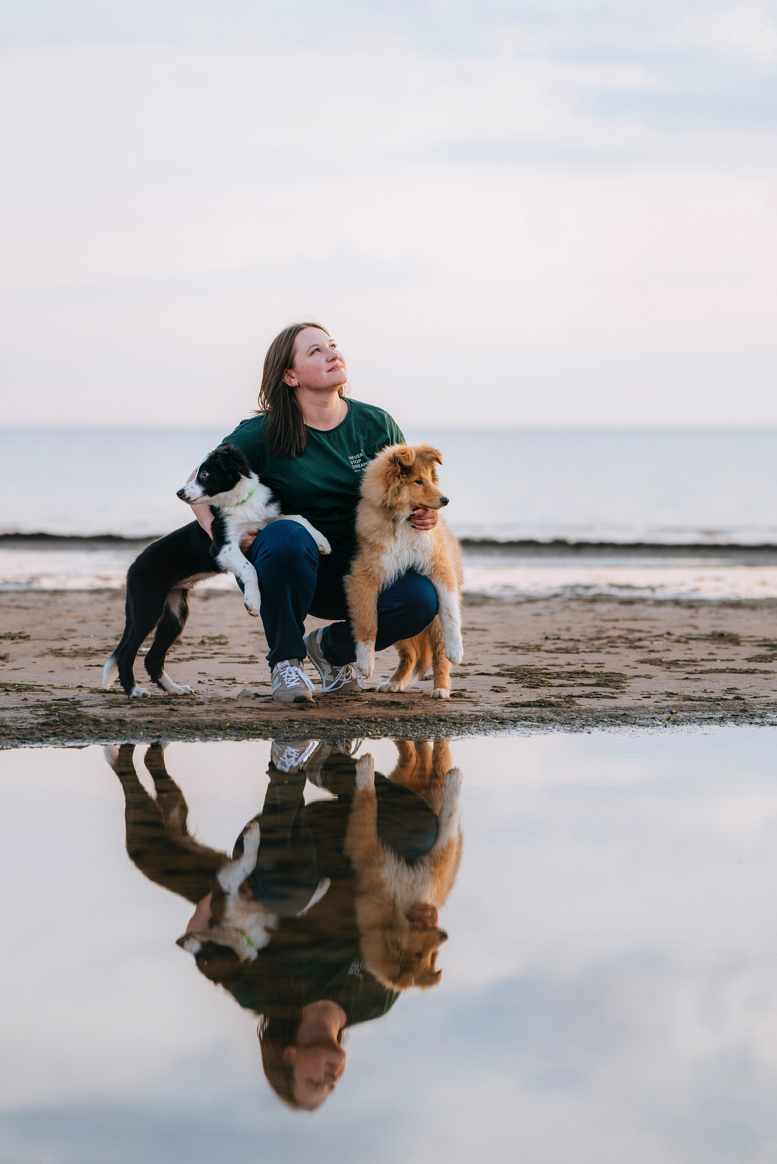 Фотосессия со щенками колли. Фотограф анималист в Спб недорого Олеся Майорова