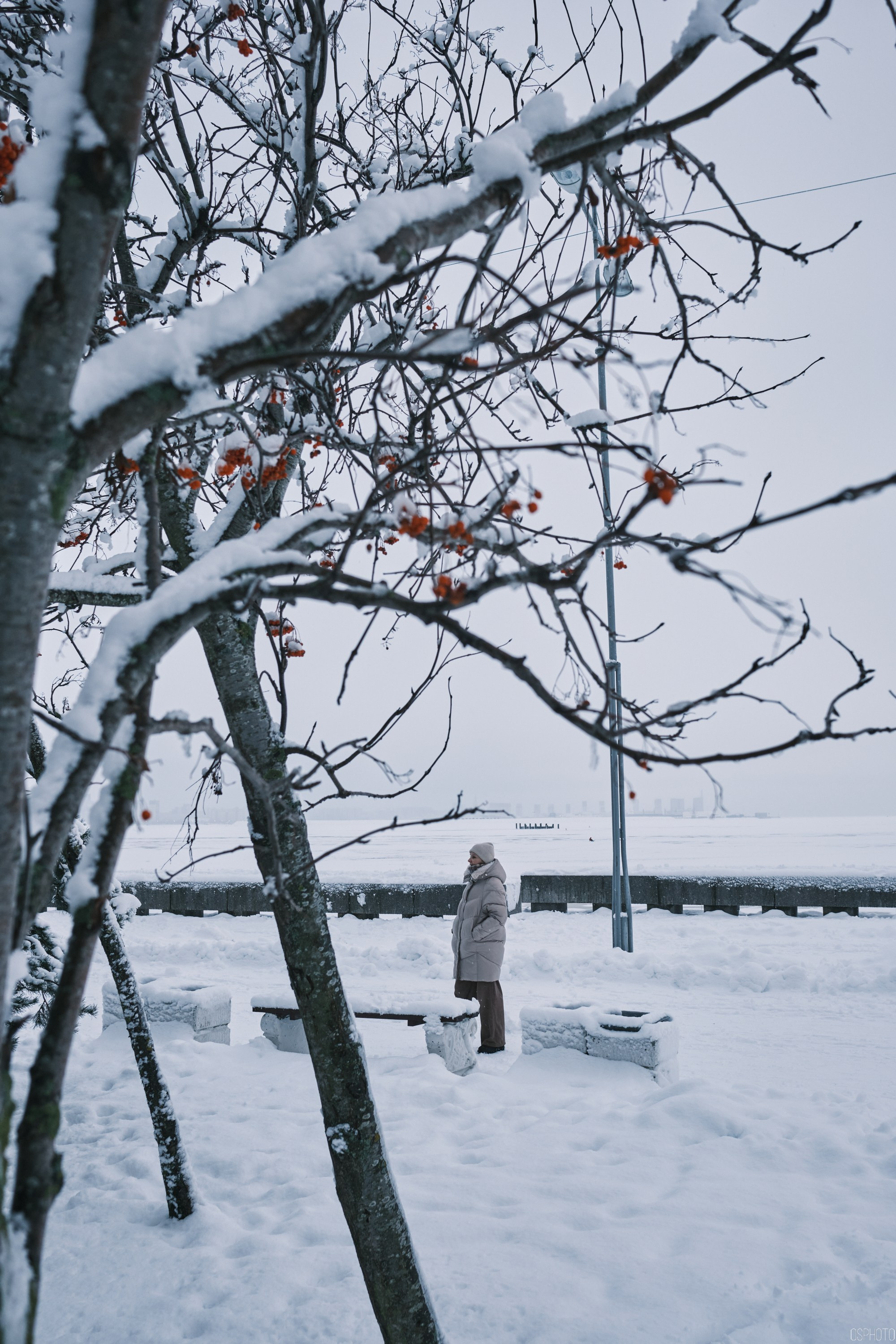 Снег и туман в Санкт-Петербурге. Фотографъ Сергѣевъ. Поймать мгновеніе