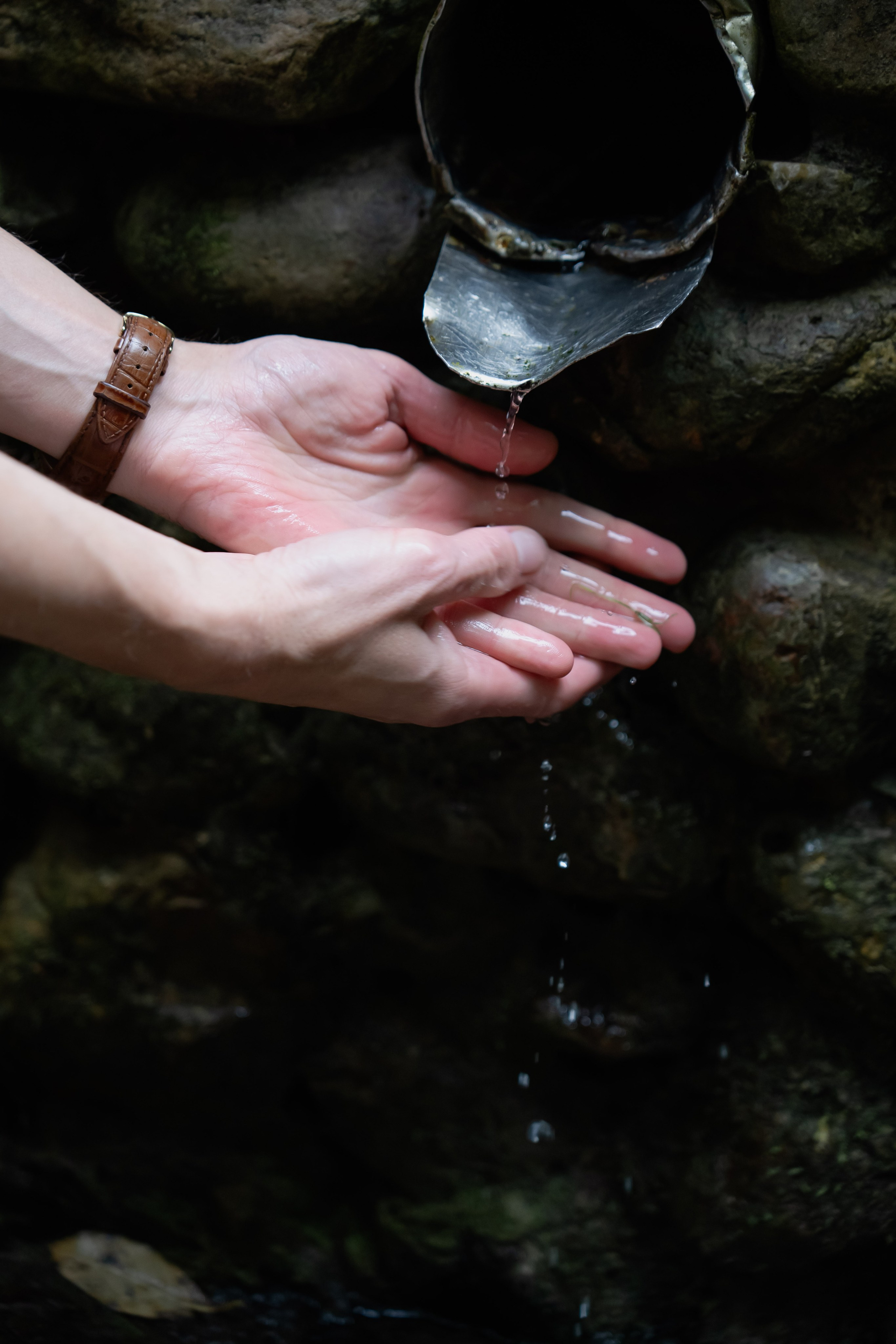 Фотосессия в Коломенском. Фотограф в Москве