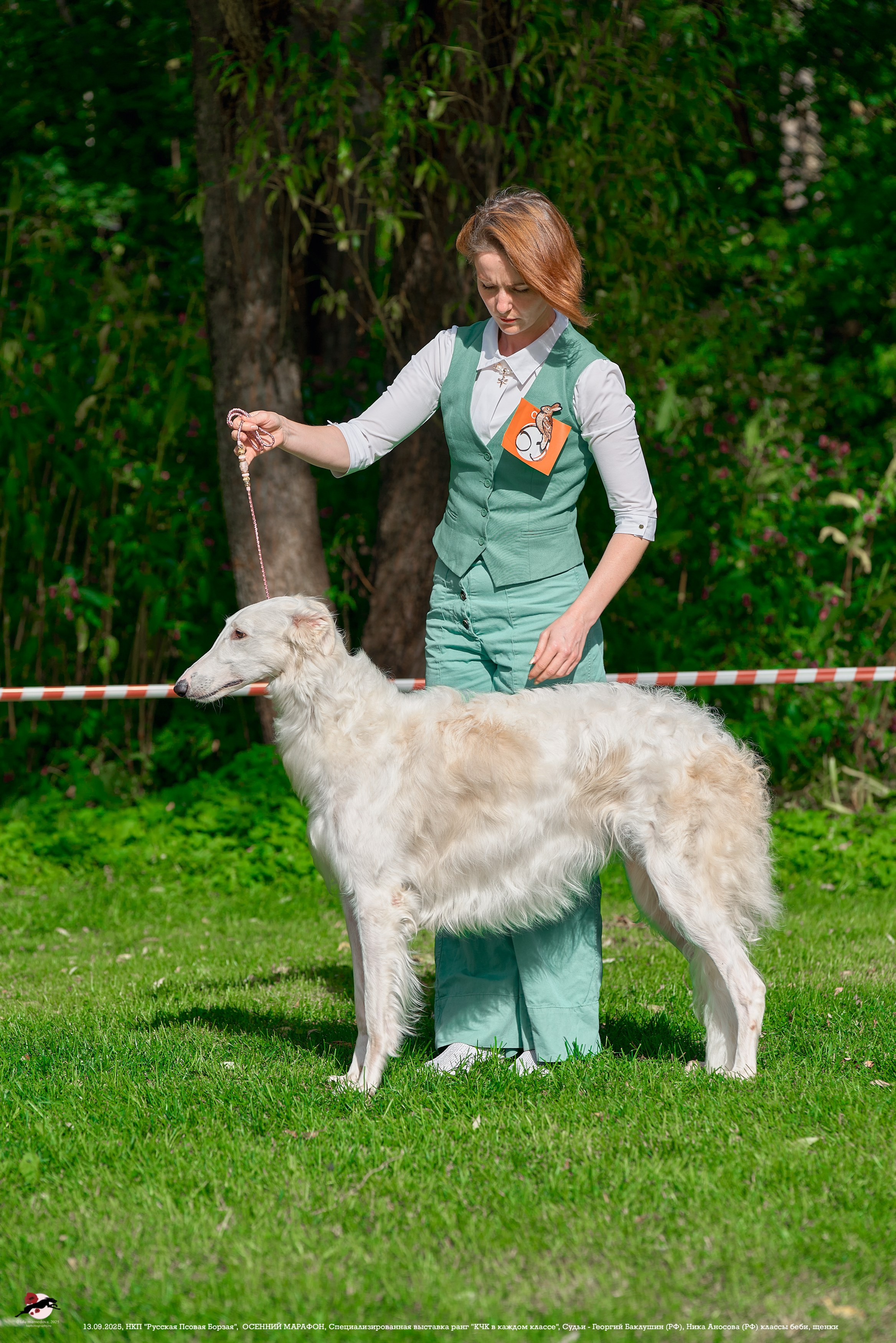 ОСЕННИЙ МАРАФОН | Специализированная выставка породы Русская Псовая Борзая ранг "КЧК в каждом классе"