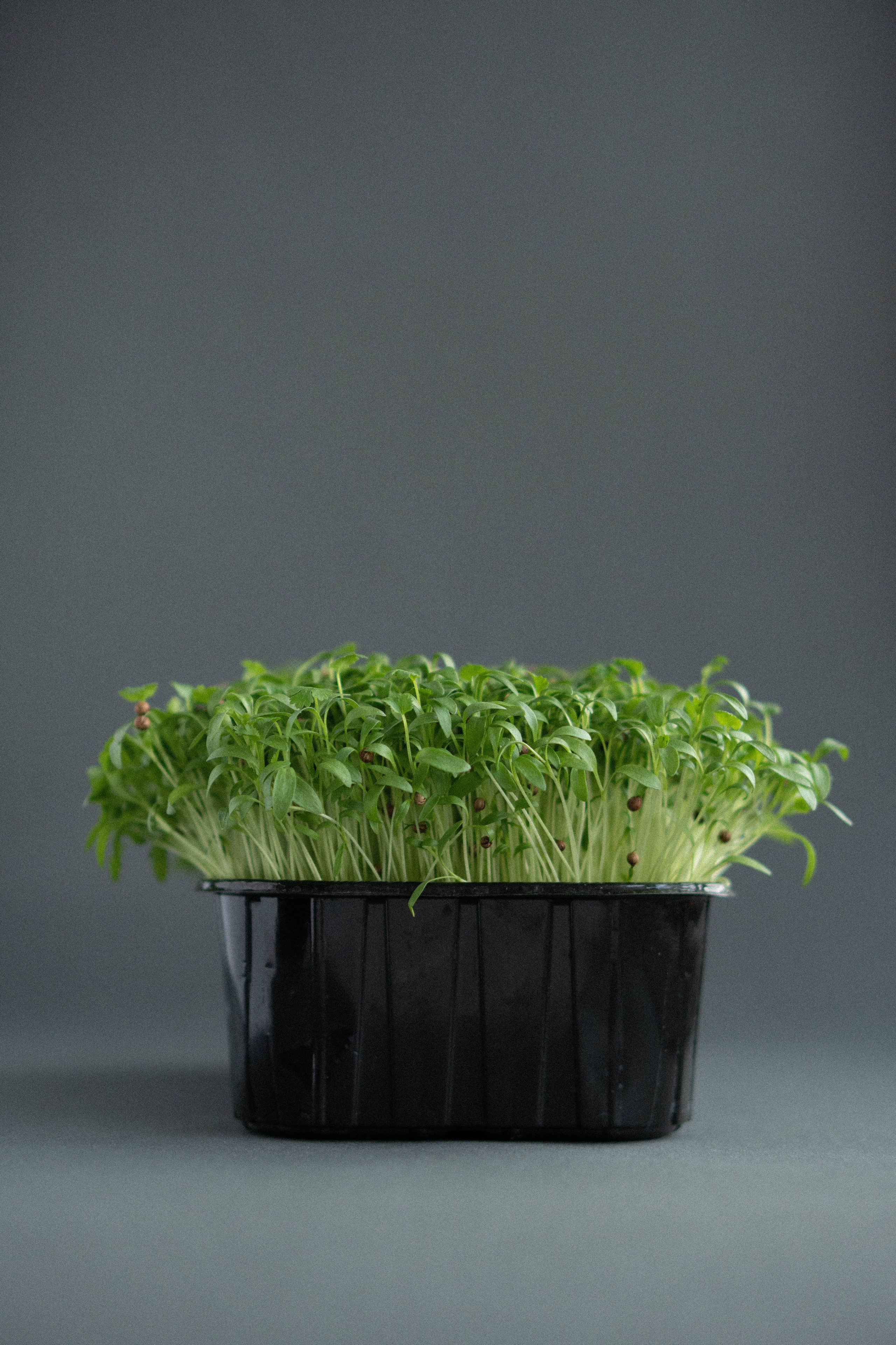 Предметная съемка. Видеограф Зинченко Татьяна г. Пермь