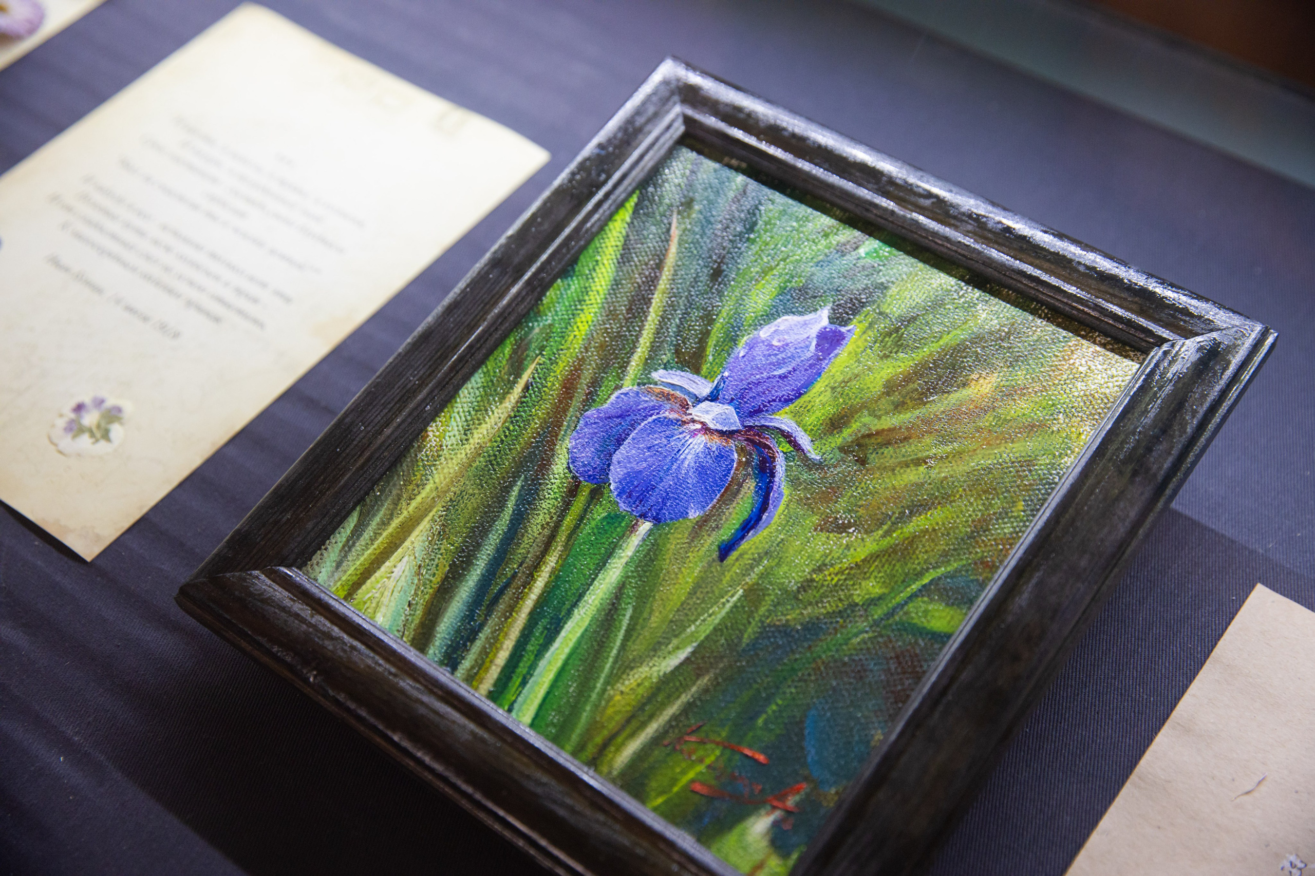 ЦВЕТЫ И СТРОКИ. Художественные выставки. Яркие открытия