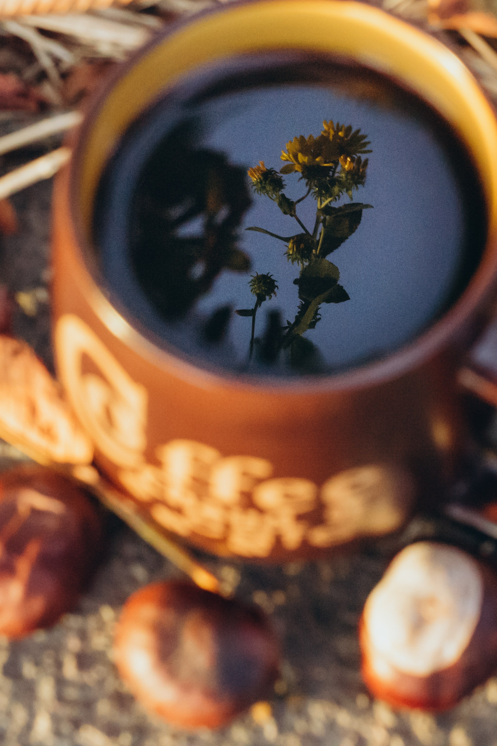 ФОТОШКОЛА. Фотостудия в Мариуполе «Берлога»