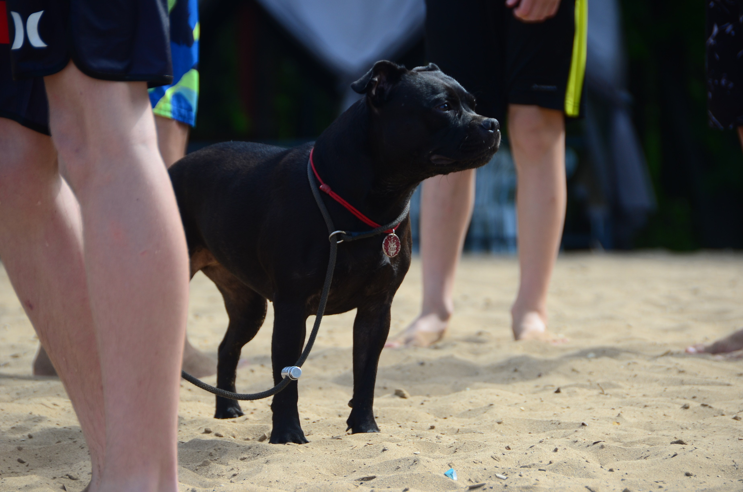 Первенство по сёрфингу, 1 июня. Фотокрыжовник. Снимаем, дружим, путешествуем