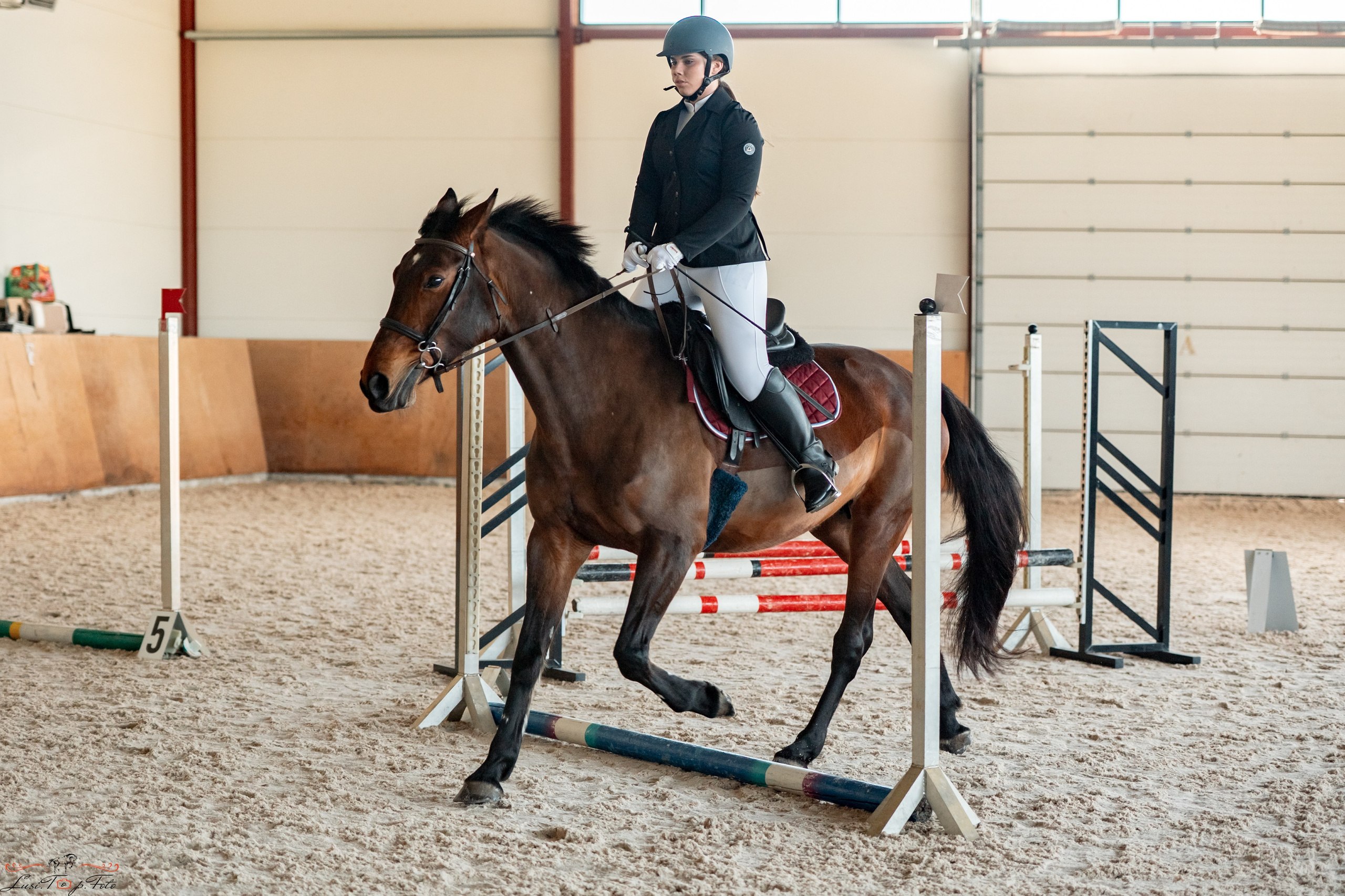 Эквипарк 6 этап Кубка Клубов. Конный и фотограф с животными в Твери Топталова Люся