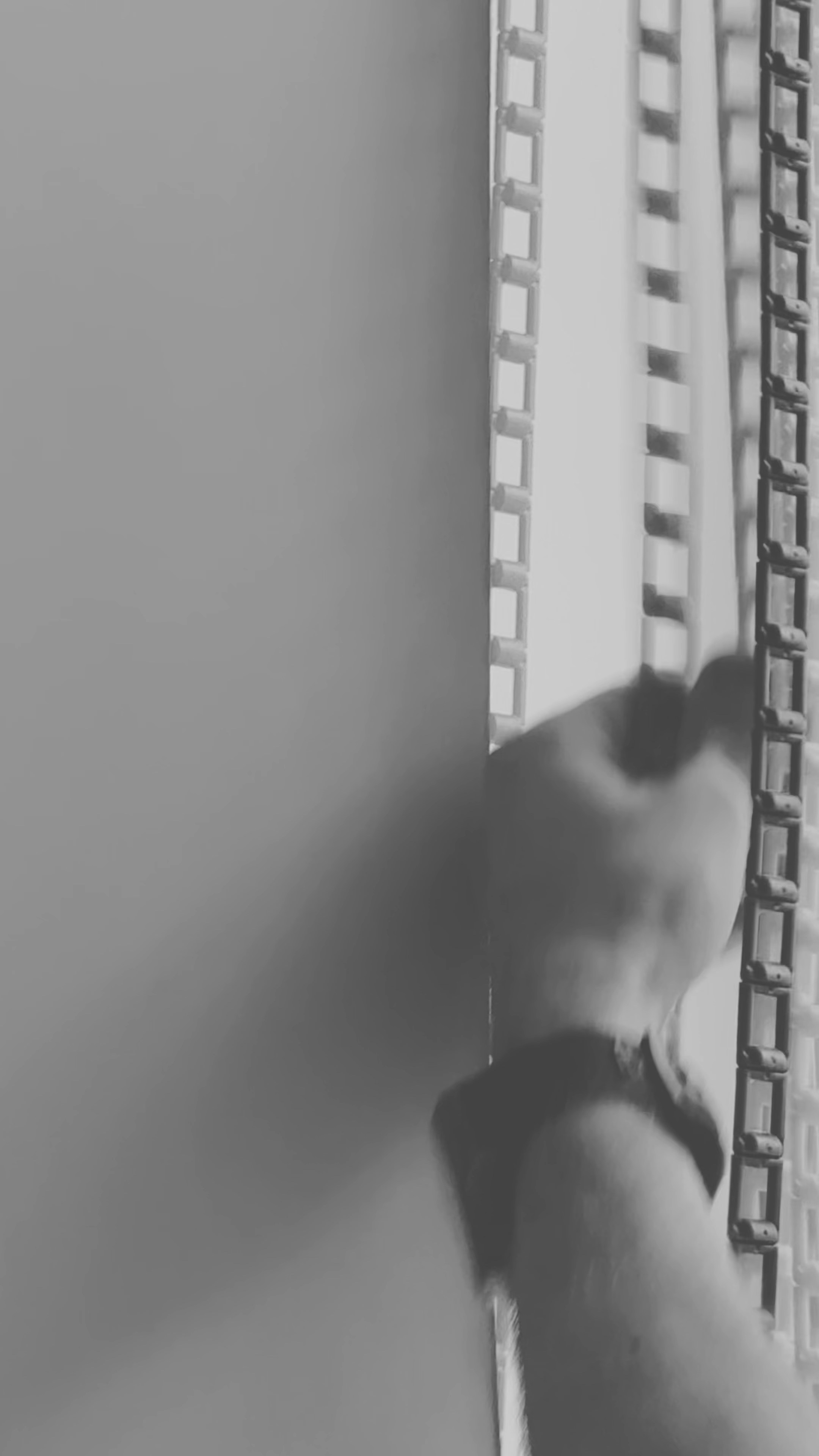 Фоны. Фотостудия в Люберцах