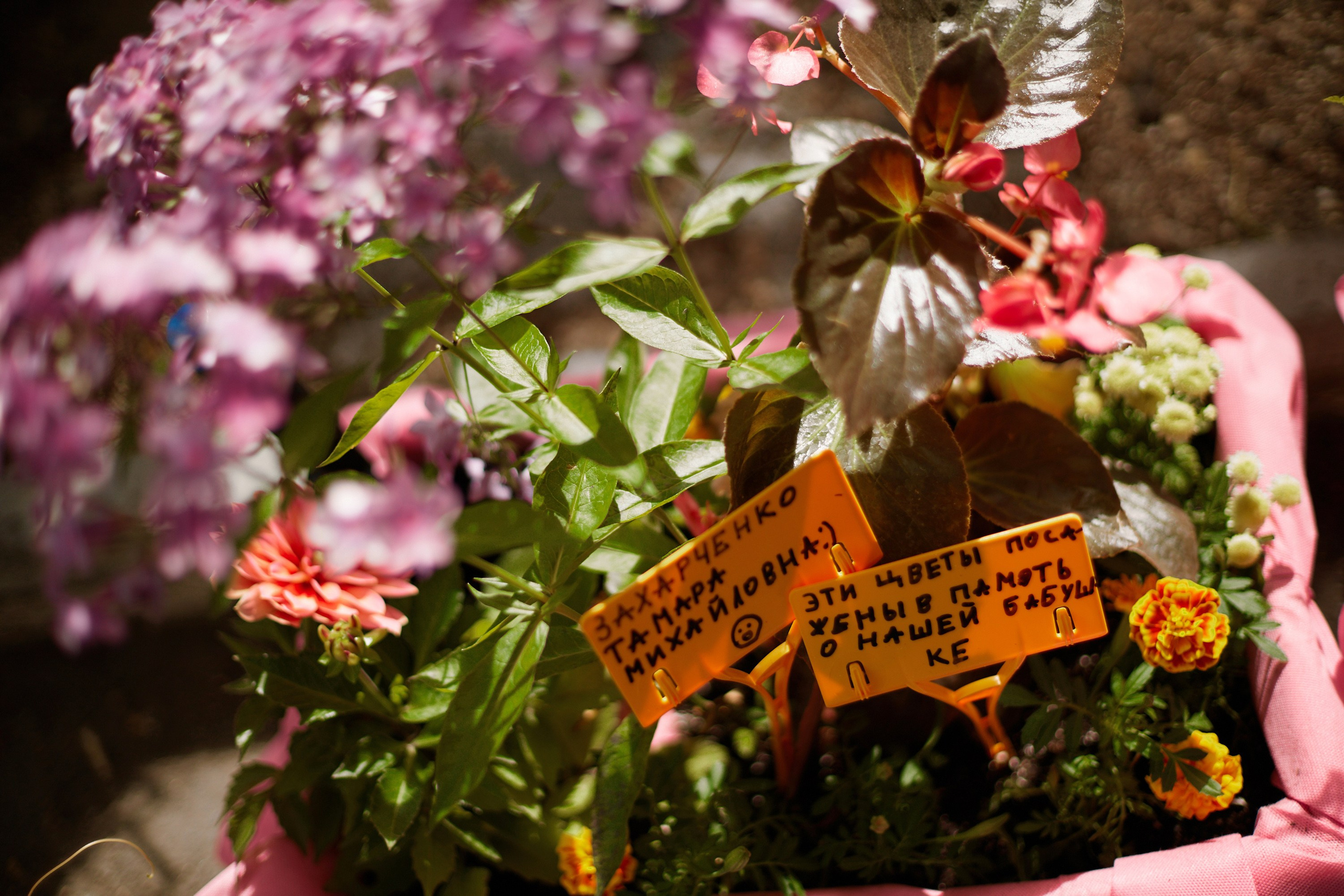 Художественно-исследовательские и образовательные проекты