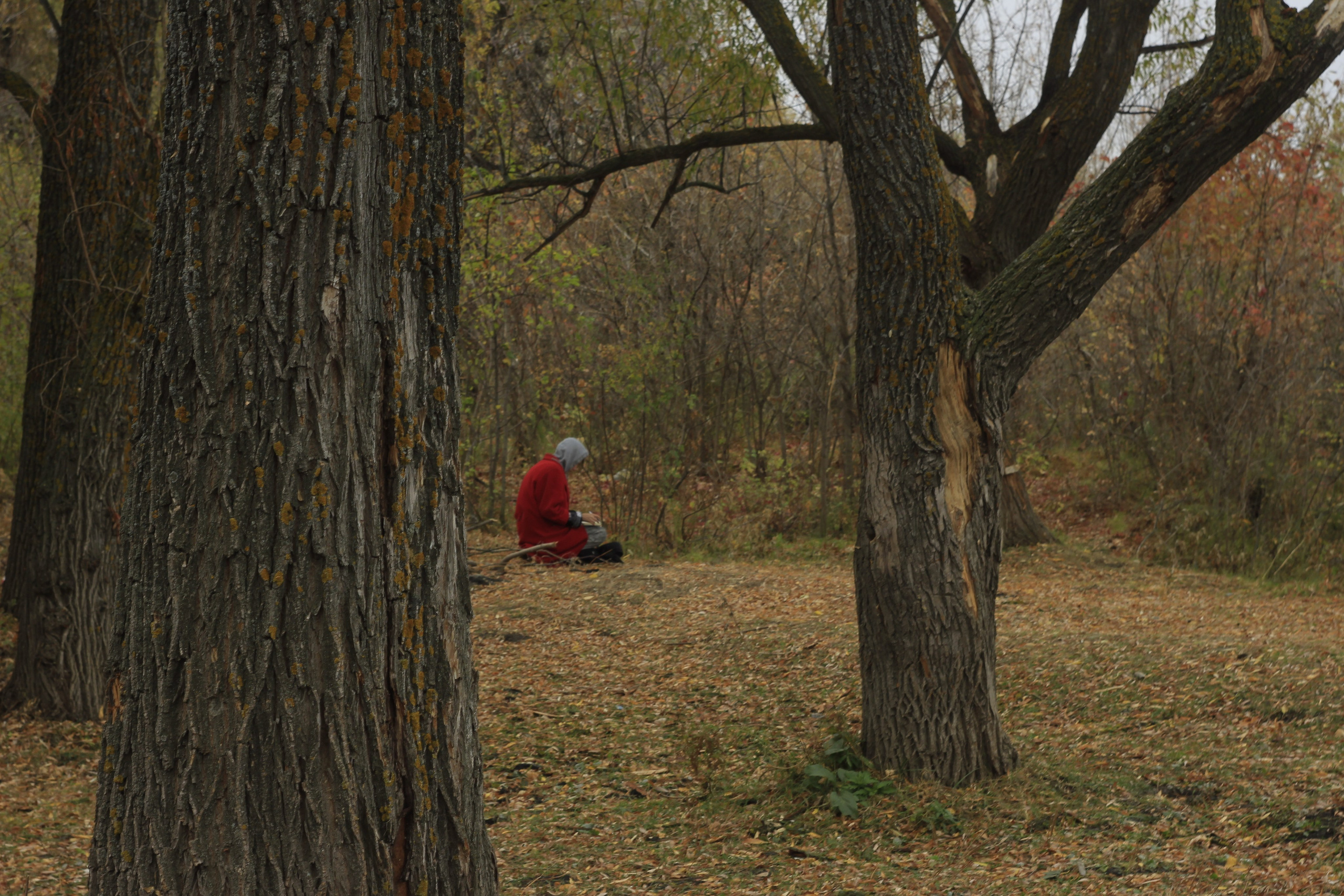 Разбойщина, Саратов, студенческая архитектурная мастерская Евгения Спирина и САСК. Фотокрыжовник. Снимаем, дружим, путешествуем