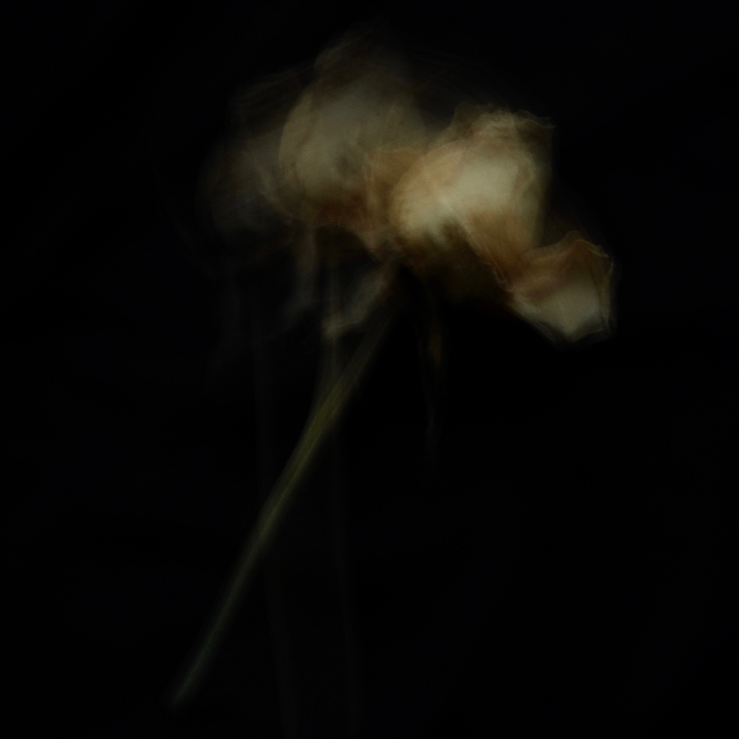 EKATERINA BOGDANOVA ─ PHOTOGRAPHER