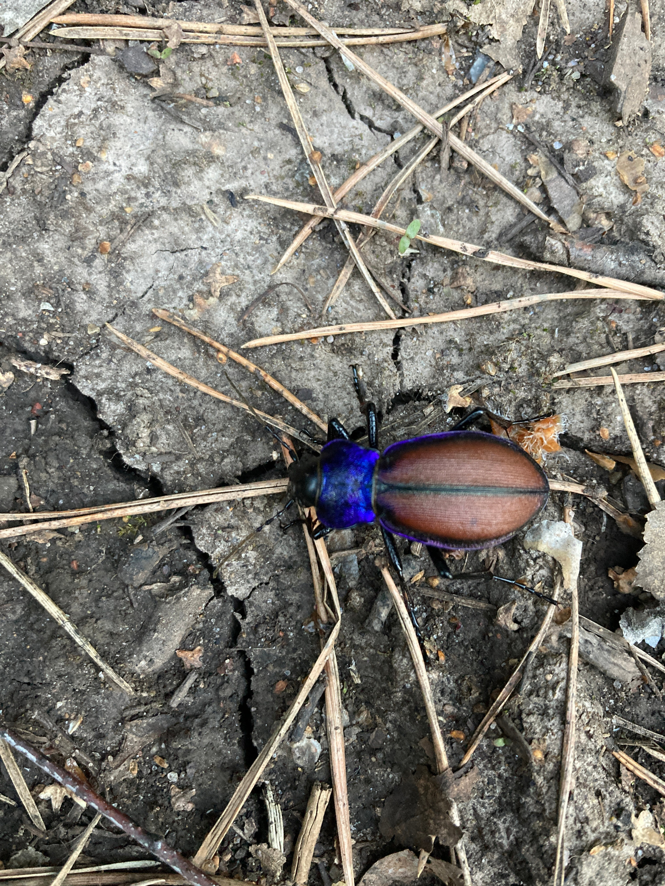Идем на восток. Портретный фотограф Москва, репортаж и естественная постановка
