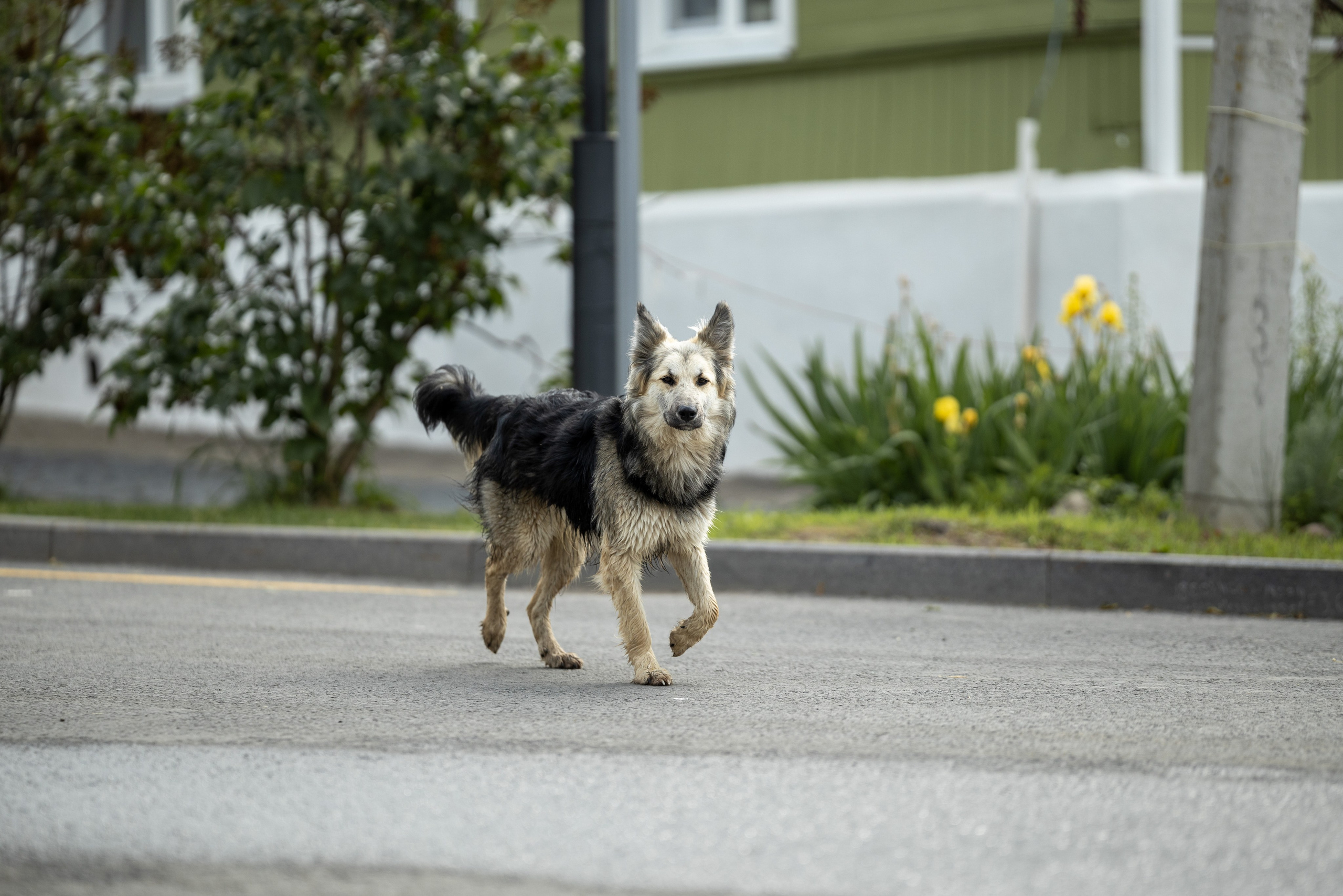 Путешествие по Суздалю. Портретный фотограф в Костроме Наталия Клевинскас