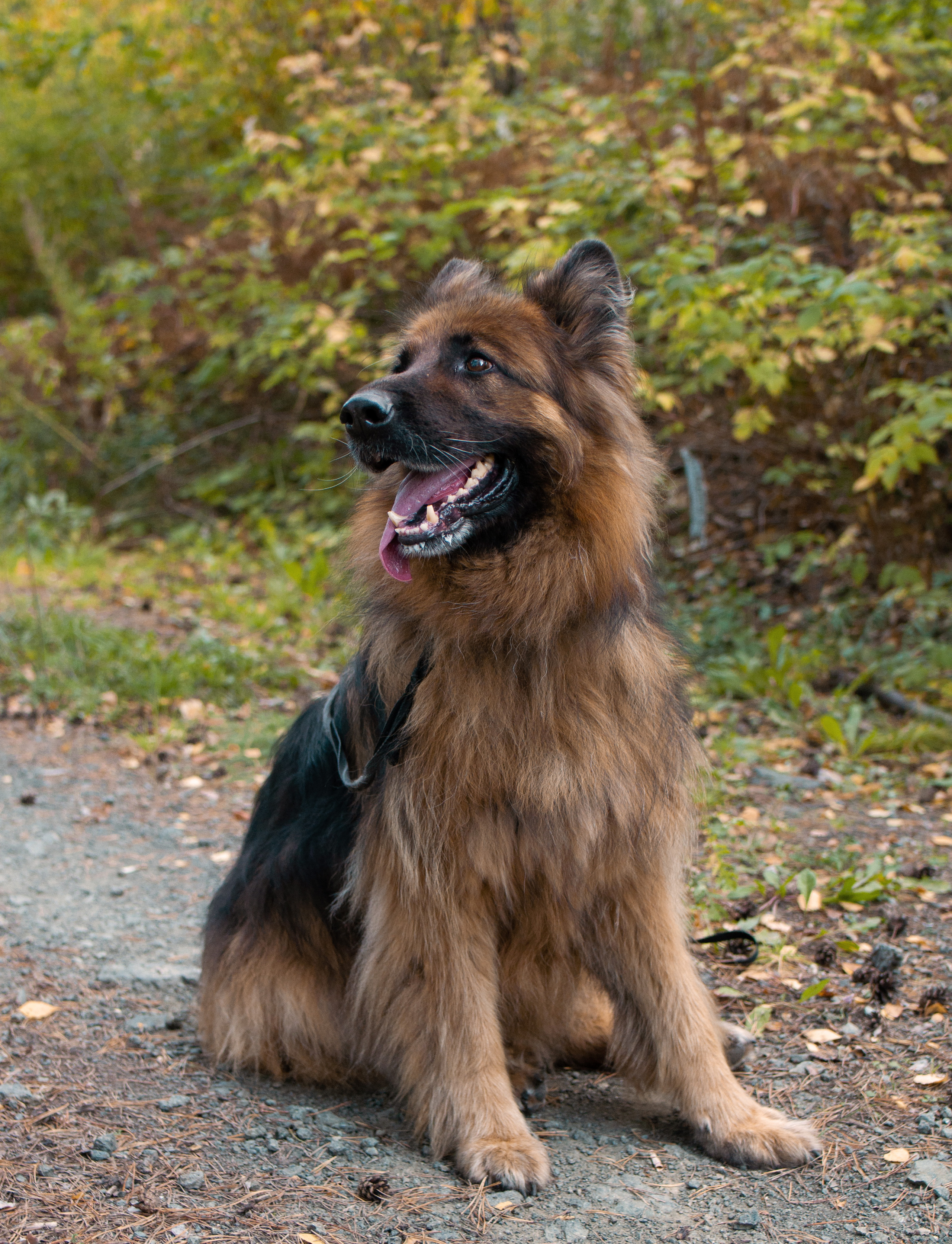 Золотая осень. Семейный и детский фотограф в Екатеринбурге Наталия Акимова