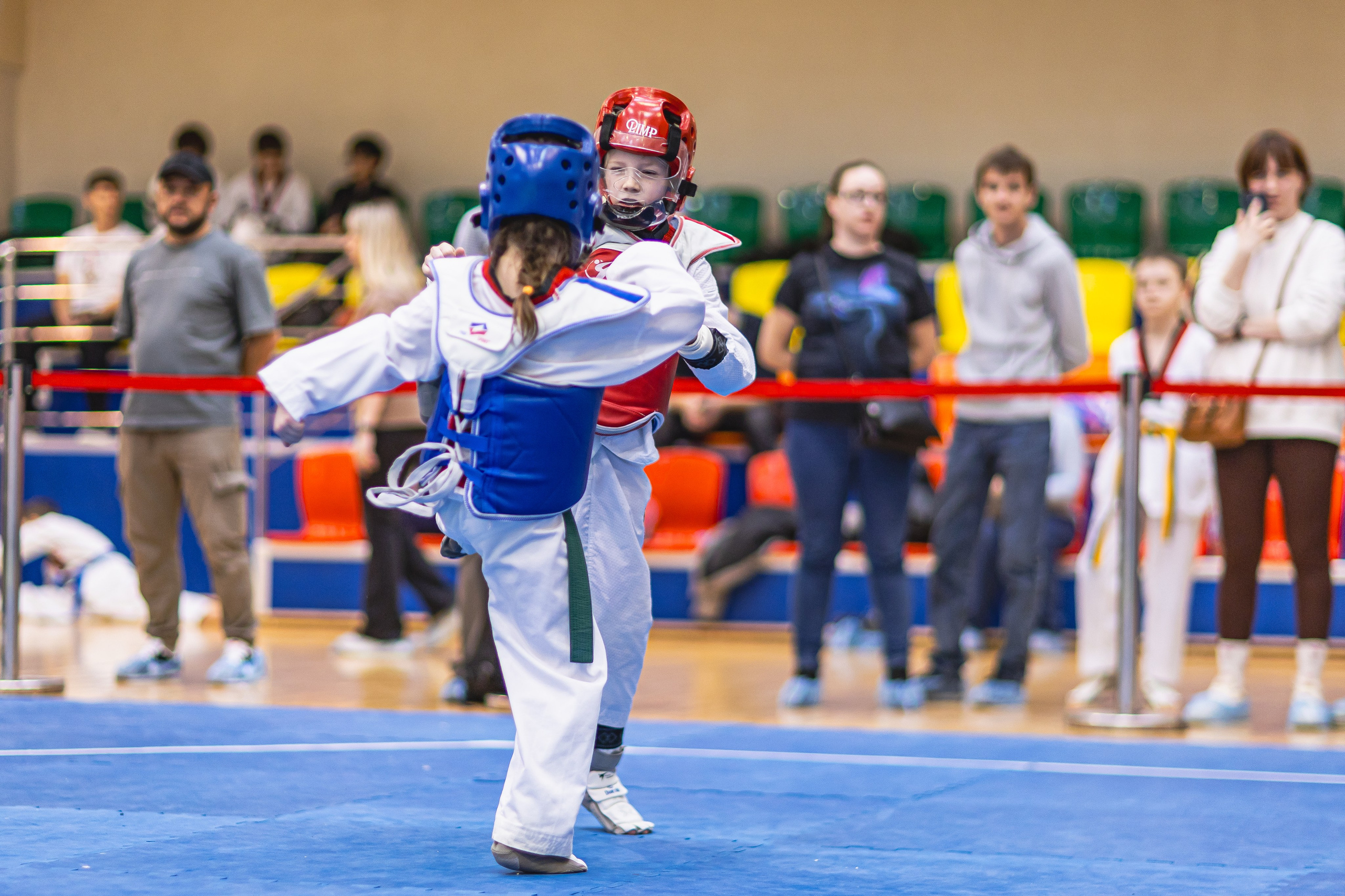 Турнир ВДЮФСОО «ФЕДЕРАЦИЯ ДЕТСКОГО ТХЭКВОНДО РОССИИ» и МОО СПКЕ «ЭРИДАН» по «СПОРТИВНОМУ БОЮ КЕРУГИ». Спортивный фотограф Максим Серегин