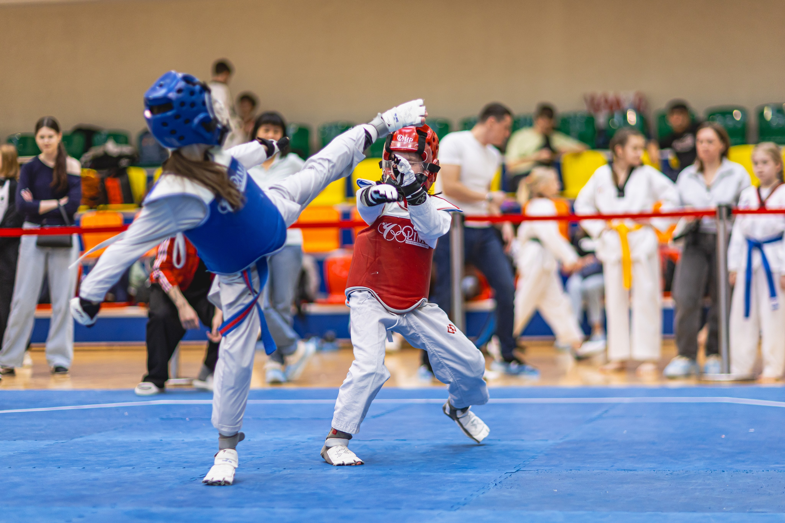 Турнир ВДЮФСОО «ФЕДЕРАЦИЯ ДЕТСКОГО ТХЭКВОНДО РОССИИ» и МОО СПКЕ «ЭРИДАН» по «СПОРТИВНОМУ БОЮ КЕРУГИ». Спортивный фотограф Максим Серегин