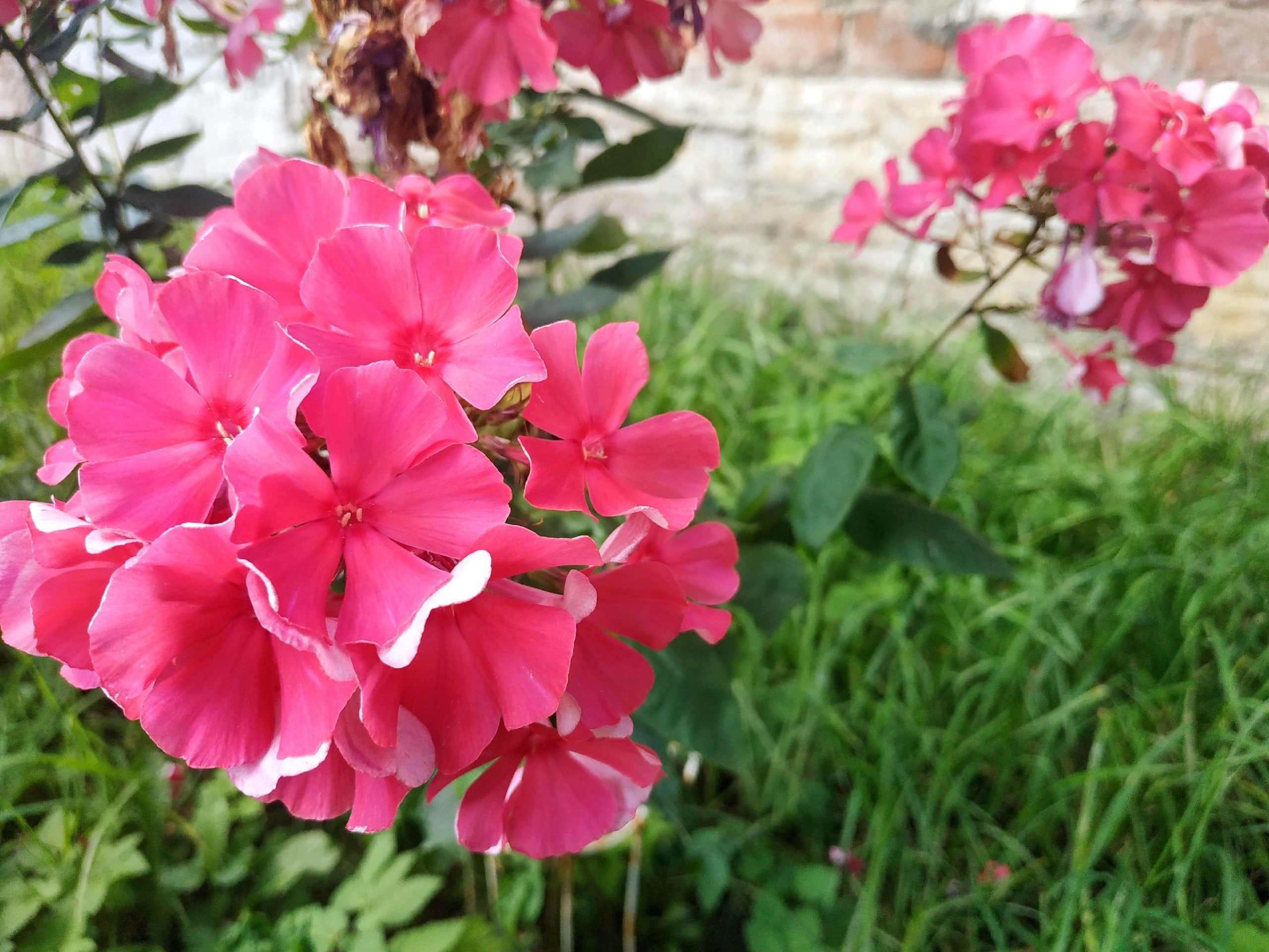 Новости. Дом Шрёдера