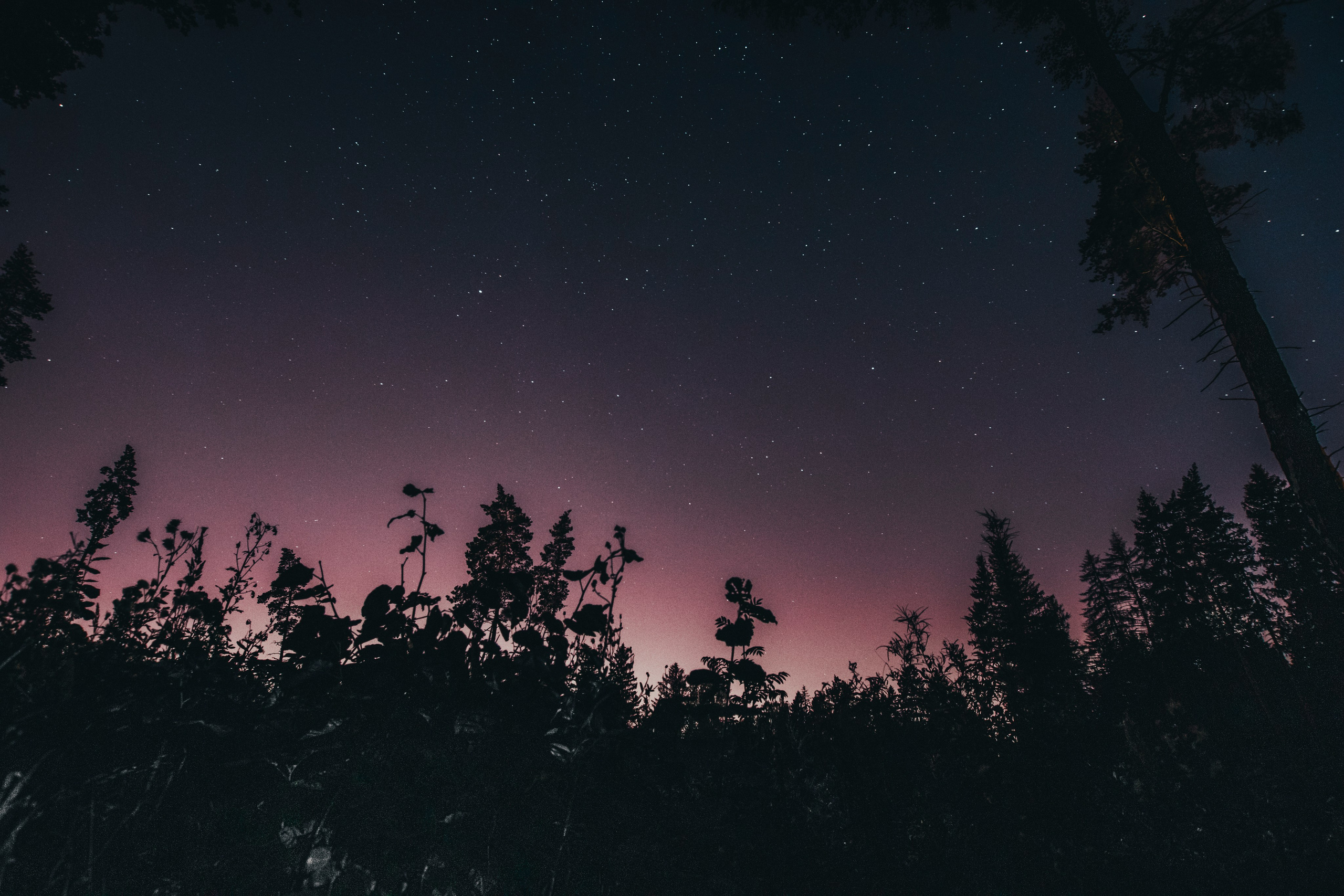 Постеры. Roycoreroy