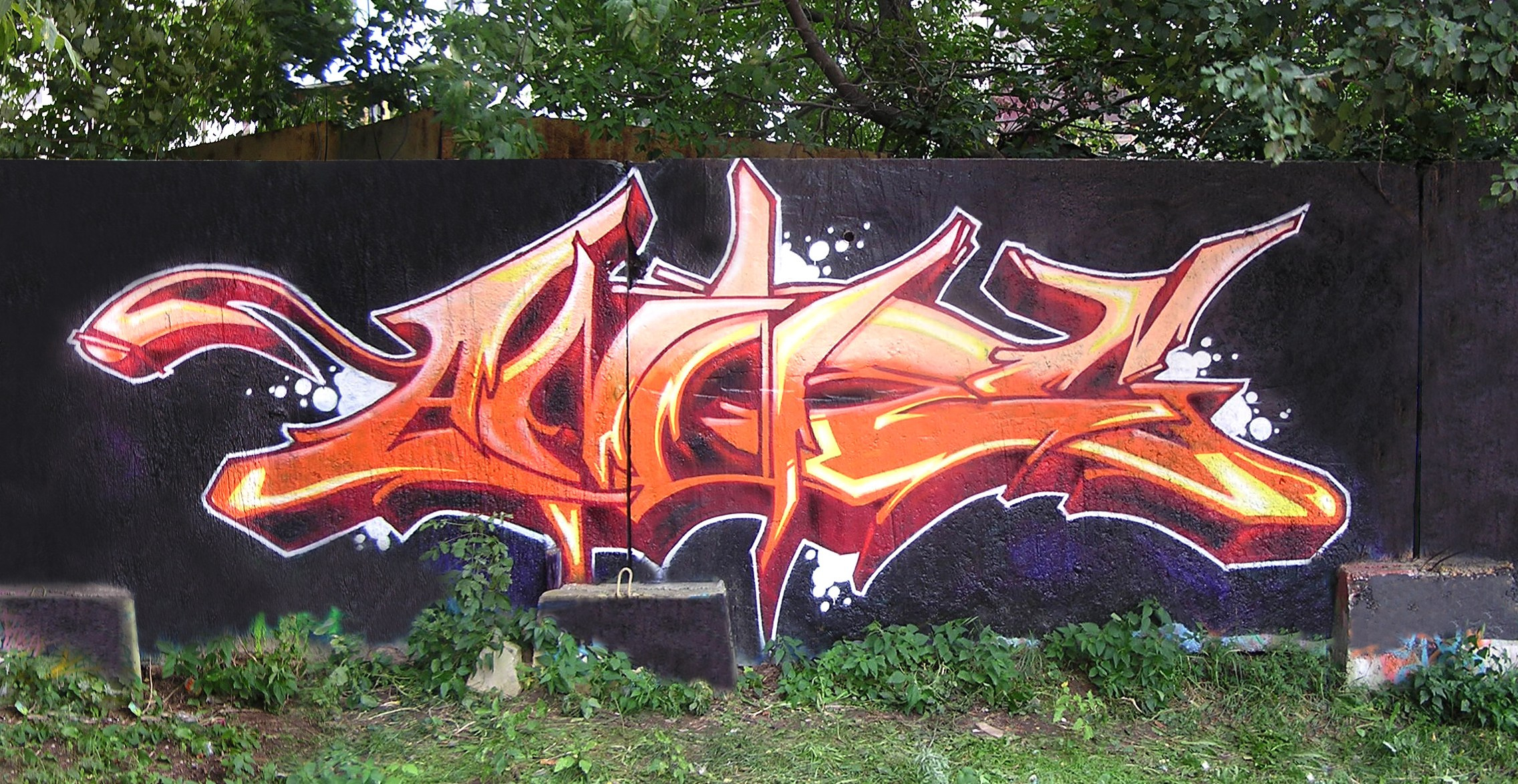 Graffiti. Alexander Stan Shimanov