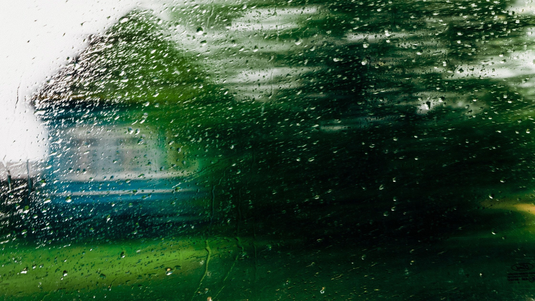 4. Пробуждение. Репортажный и портретный фотограф во Владимире Сергей Кравцов