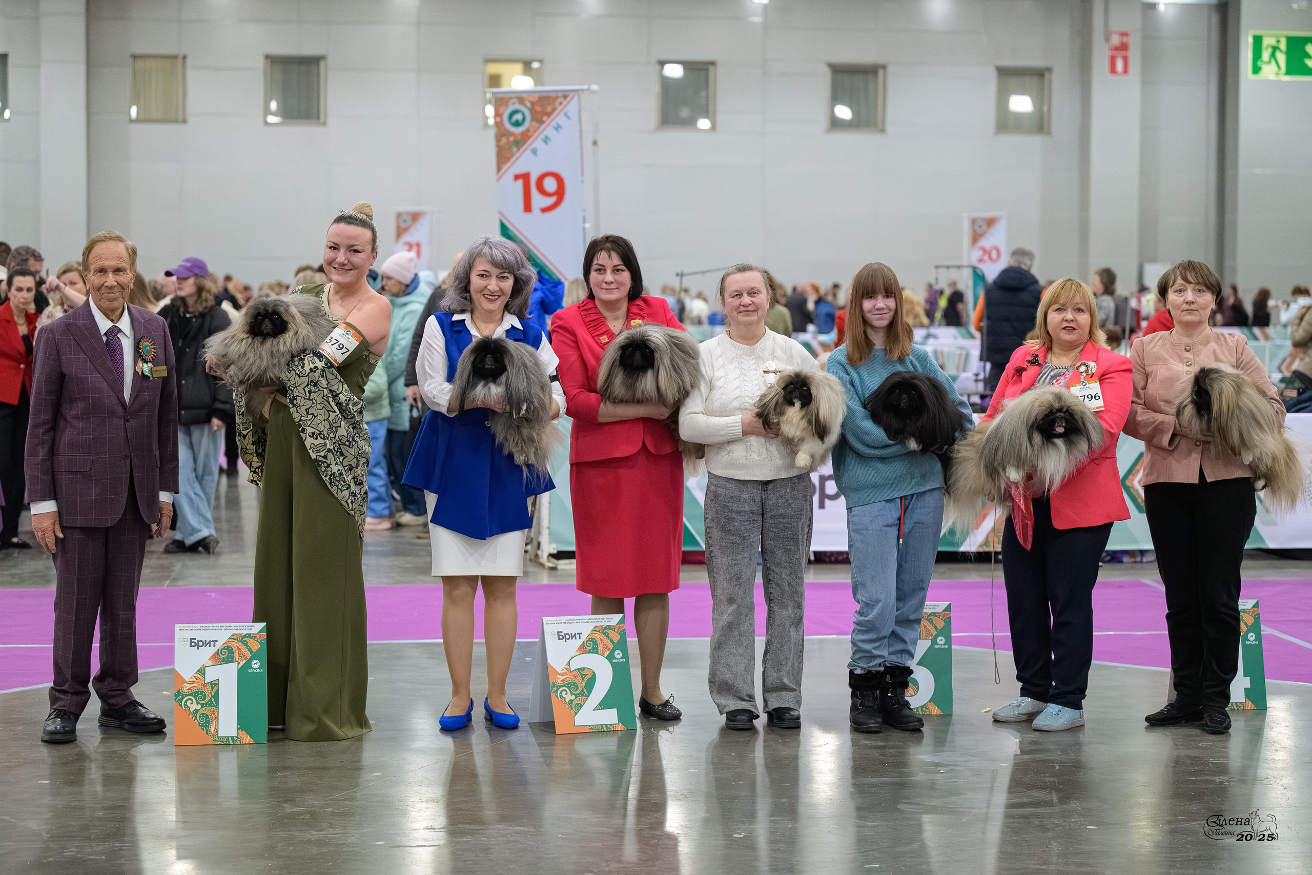 15-16.11.2025 ЕВРАЗИЯ г. Москва. Фотограф анималист Елена Галдина г. Красноярск