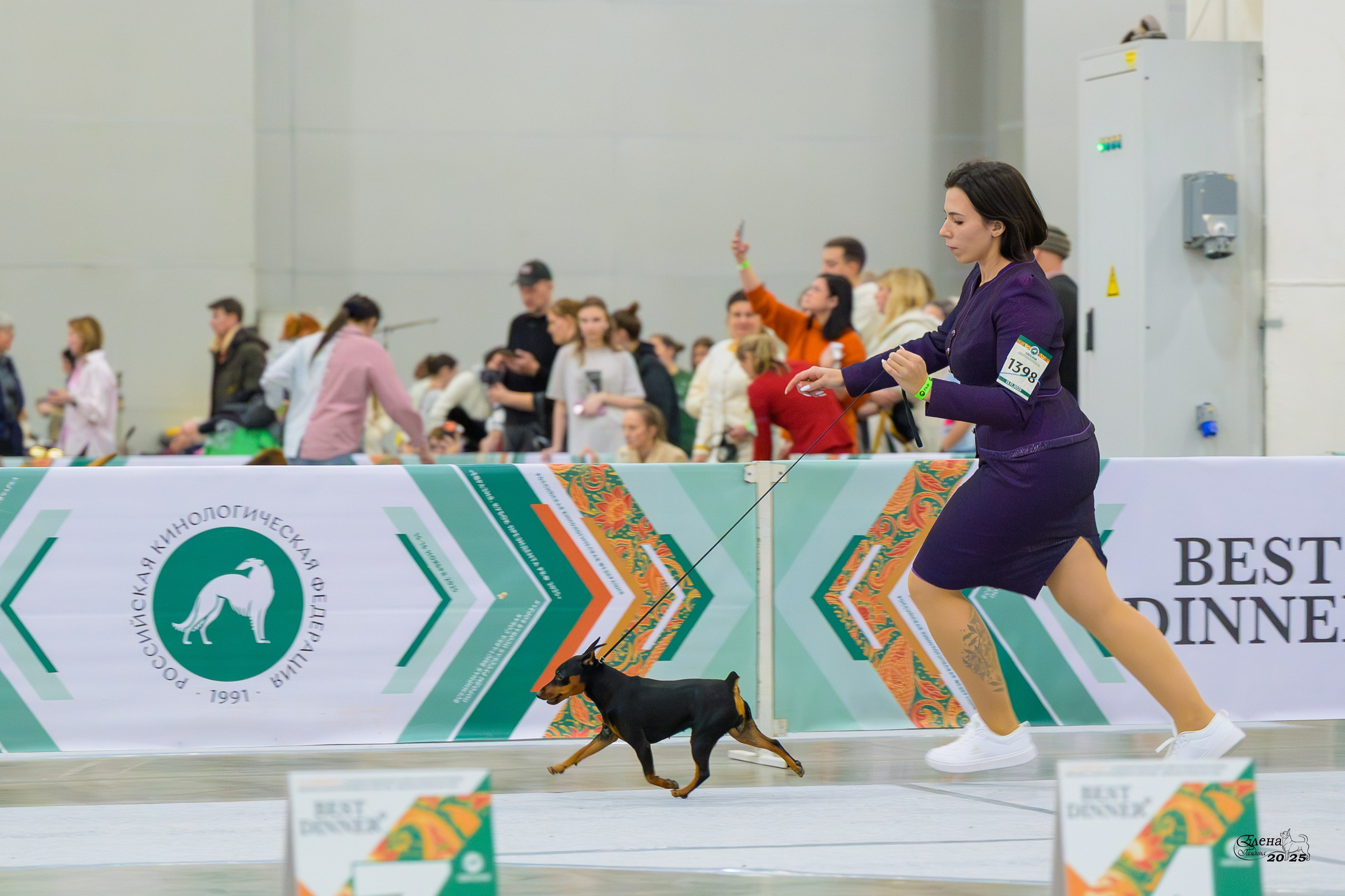 15-16.11.2025 ЕВРАЗИЯ г. Москва. Фотограф анималист Елена Галдина г. Красноярск