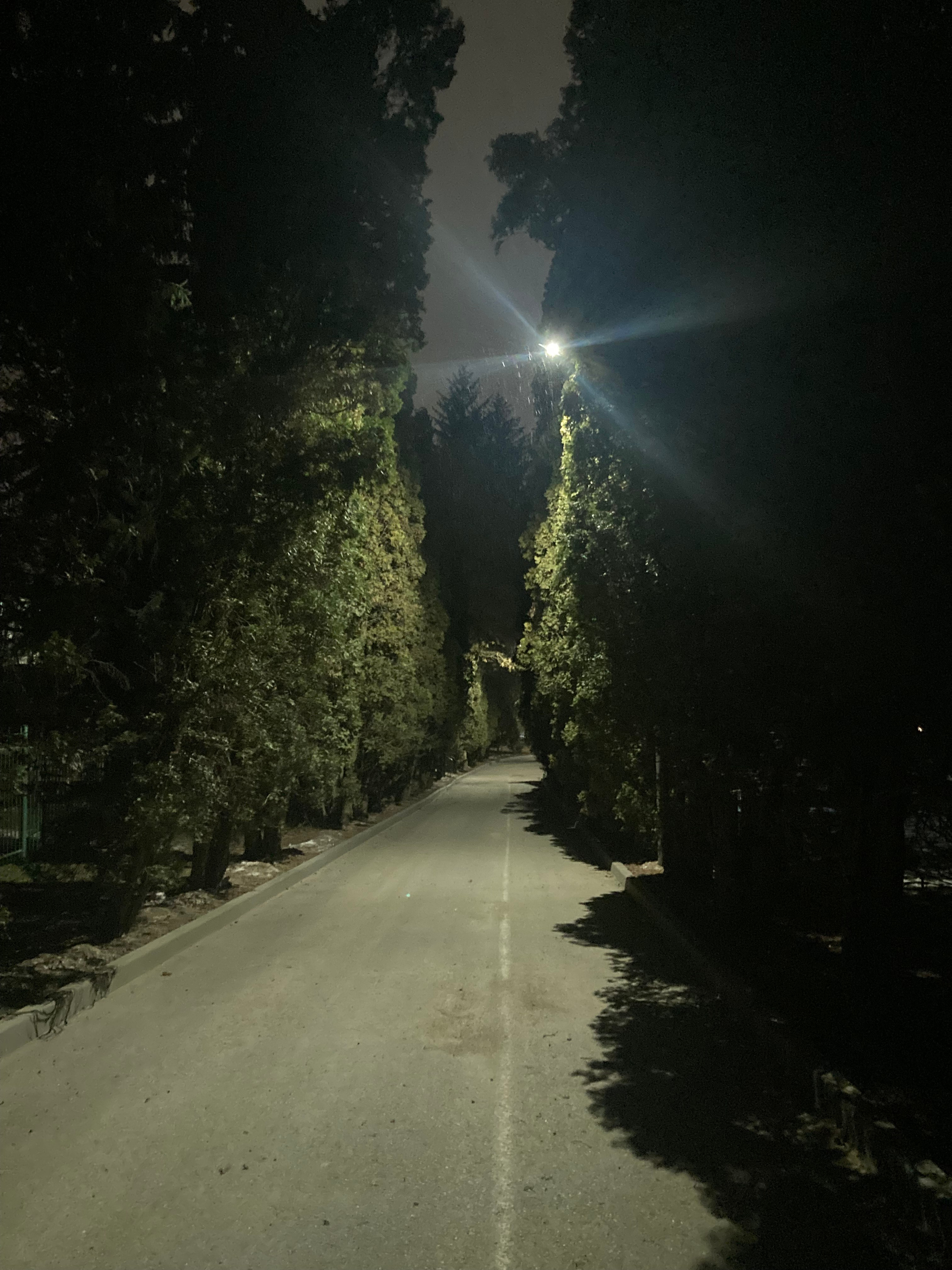 Кисловодск. Смотри, красота!