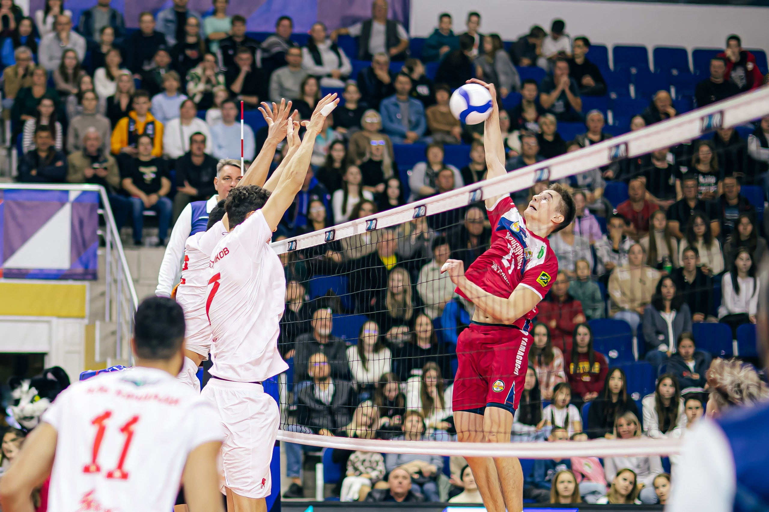 19.10 Волейбол. Нефтяник-Белгорье. Команда специалистов в мире фотографии и видео. Детский фотограф, семейный фотограф