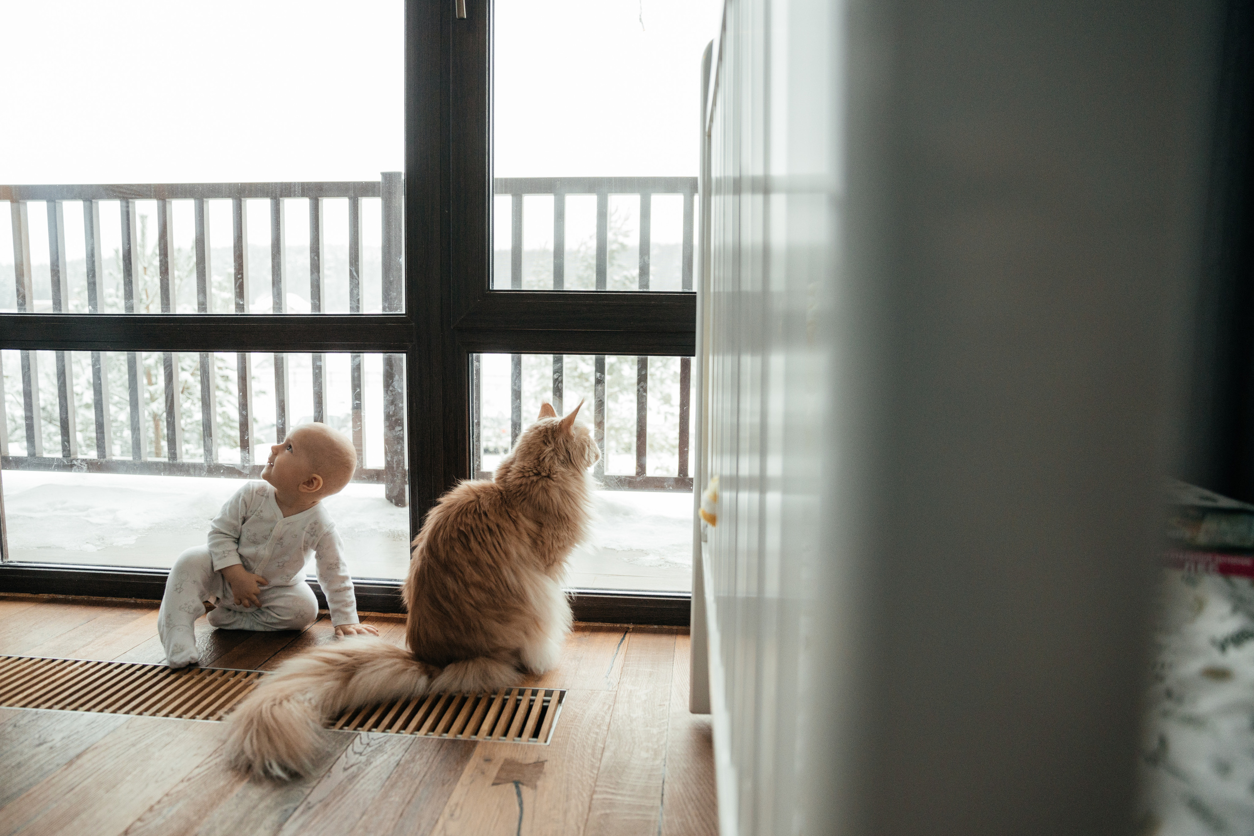 Стоимость услуг (Семейная). Фотограф Луиза Юдилевич Москва