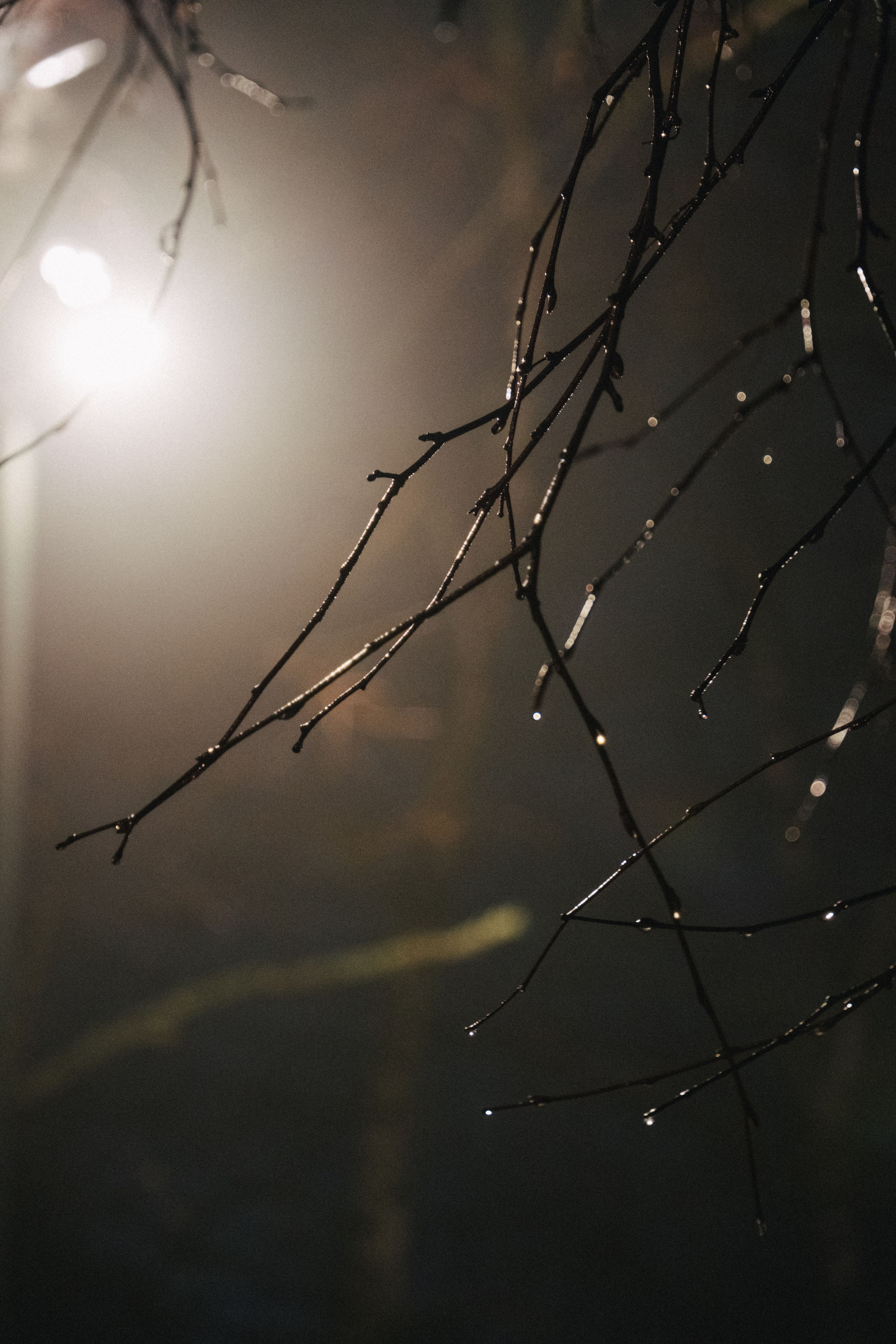 Великий Новгород моими глазами. Детский, семейный и ньюборн фотограф в Москве Юлия Шуарт