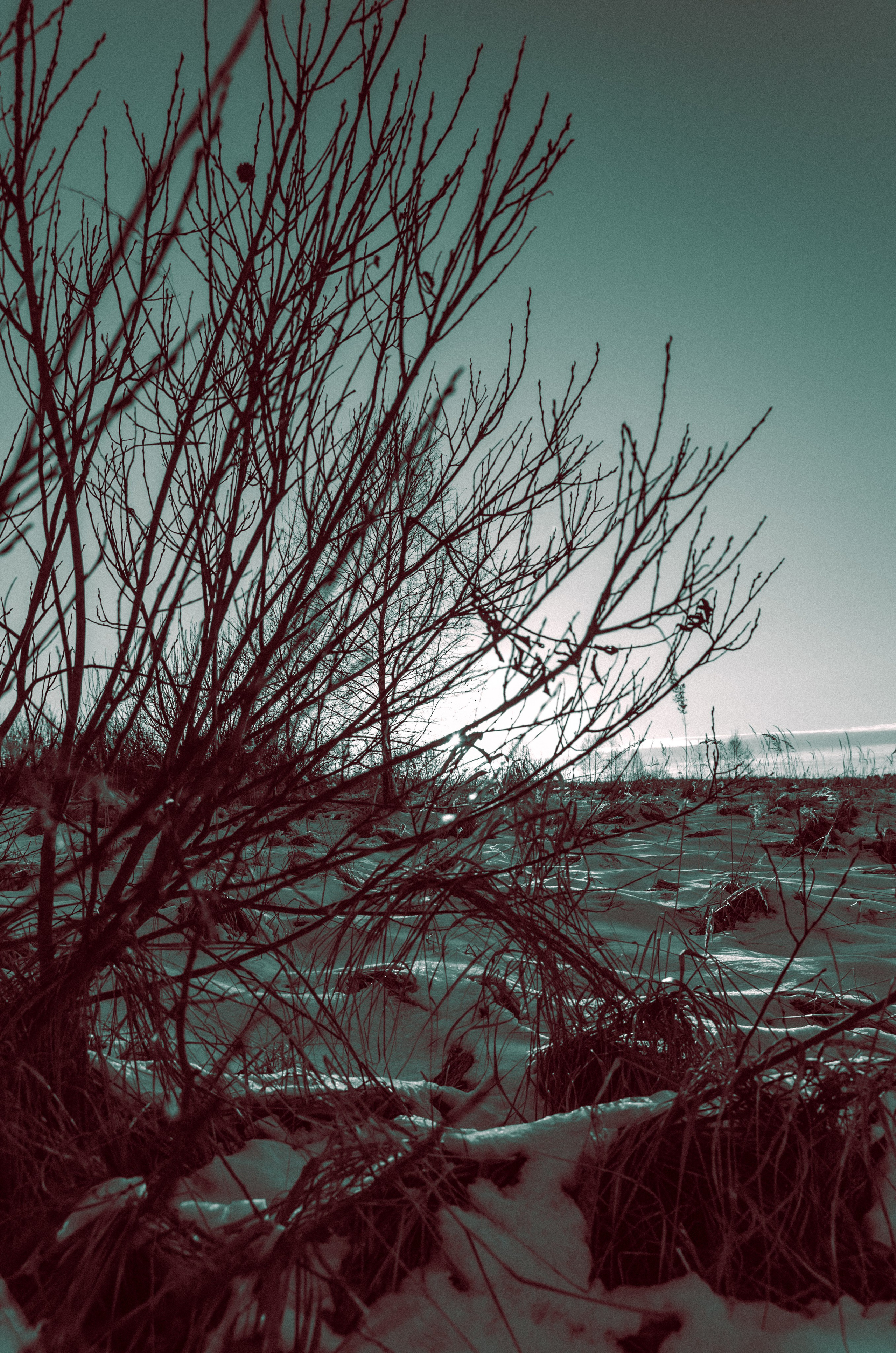 «Артхаус по-русски» или «Один в поле». Самолюк Антон. Фотограф в Москве и Московской области