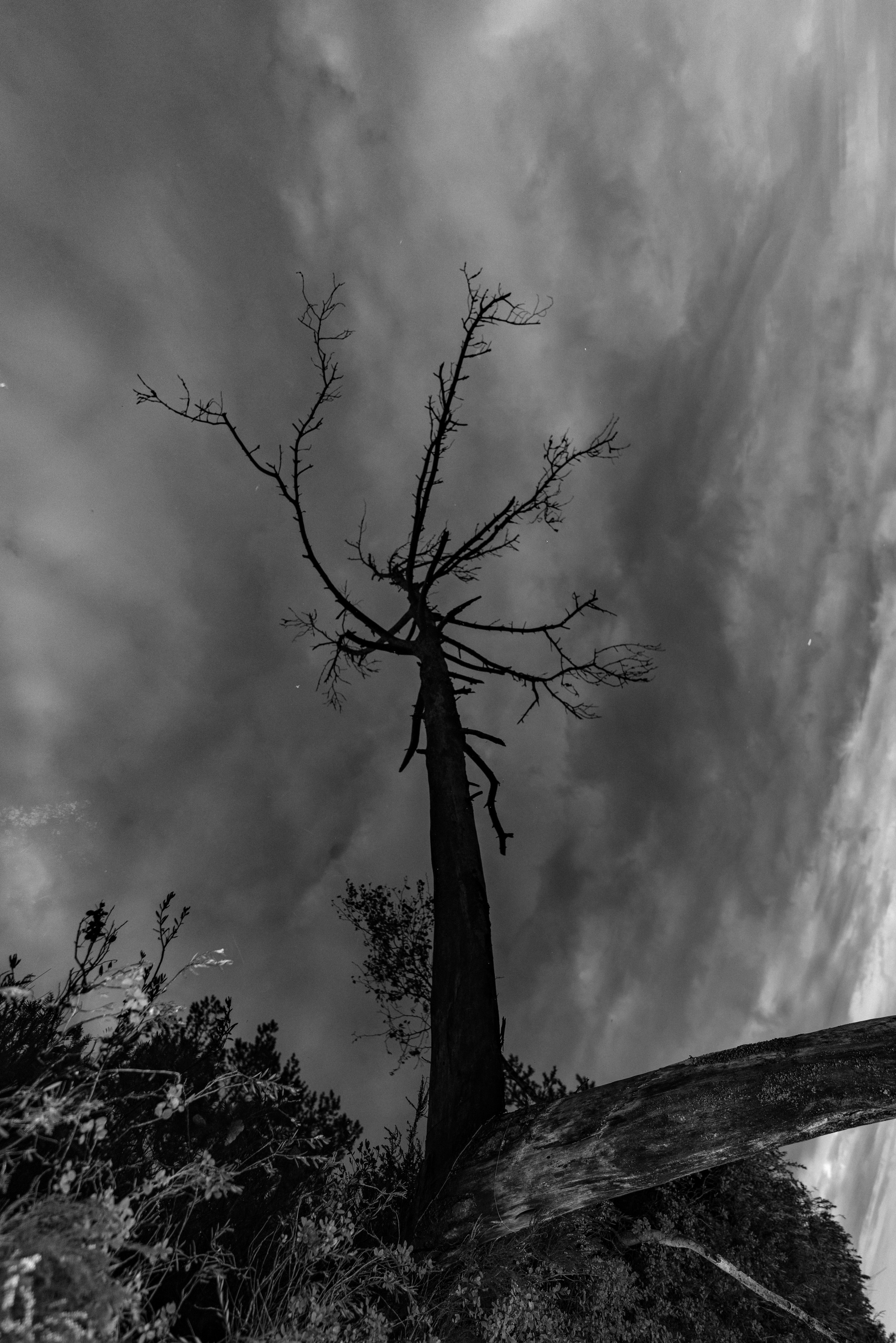 Осень на Карельском перешейке. Сентябрь